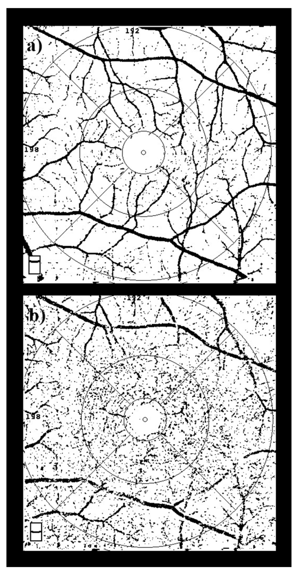 Diagnostics 16 00422 g002 Diagnostics 16 00422 g002