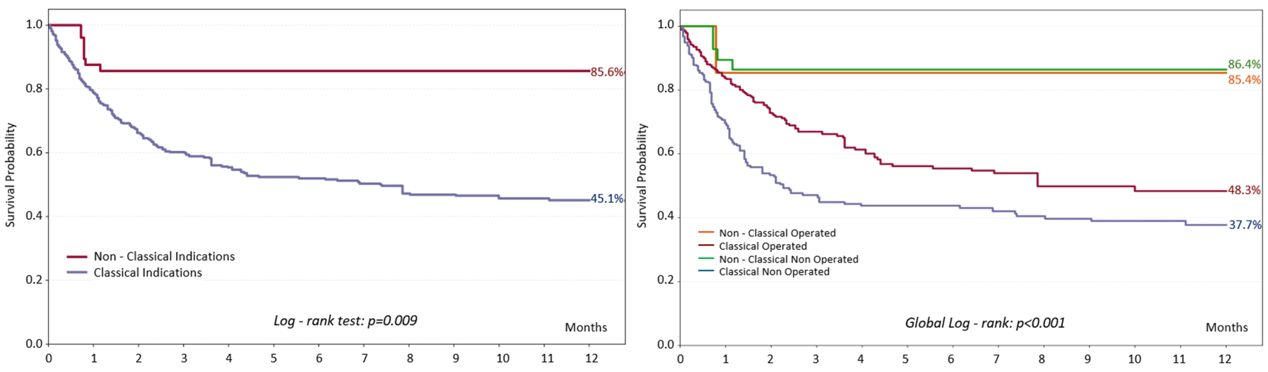 Diagnostics 16 00426 g002