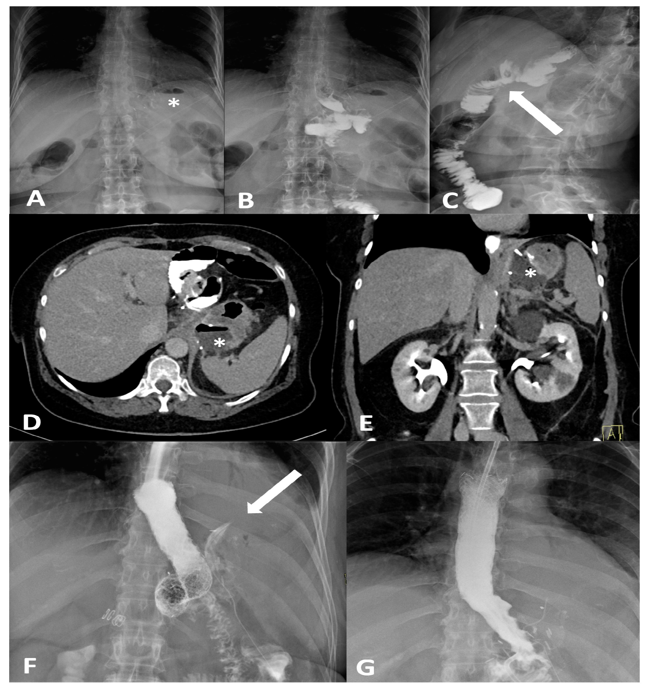 Diagnostics 16 00431 g001 Diagnostics 16 00431 g001