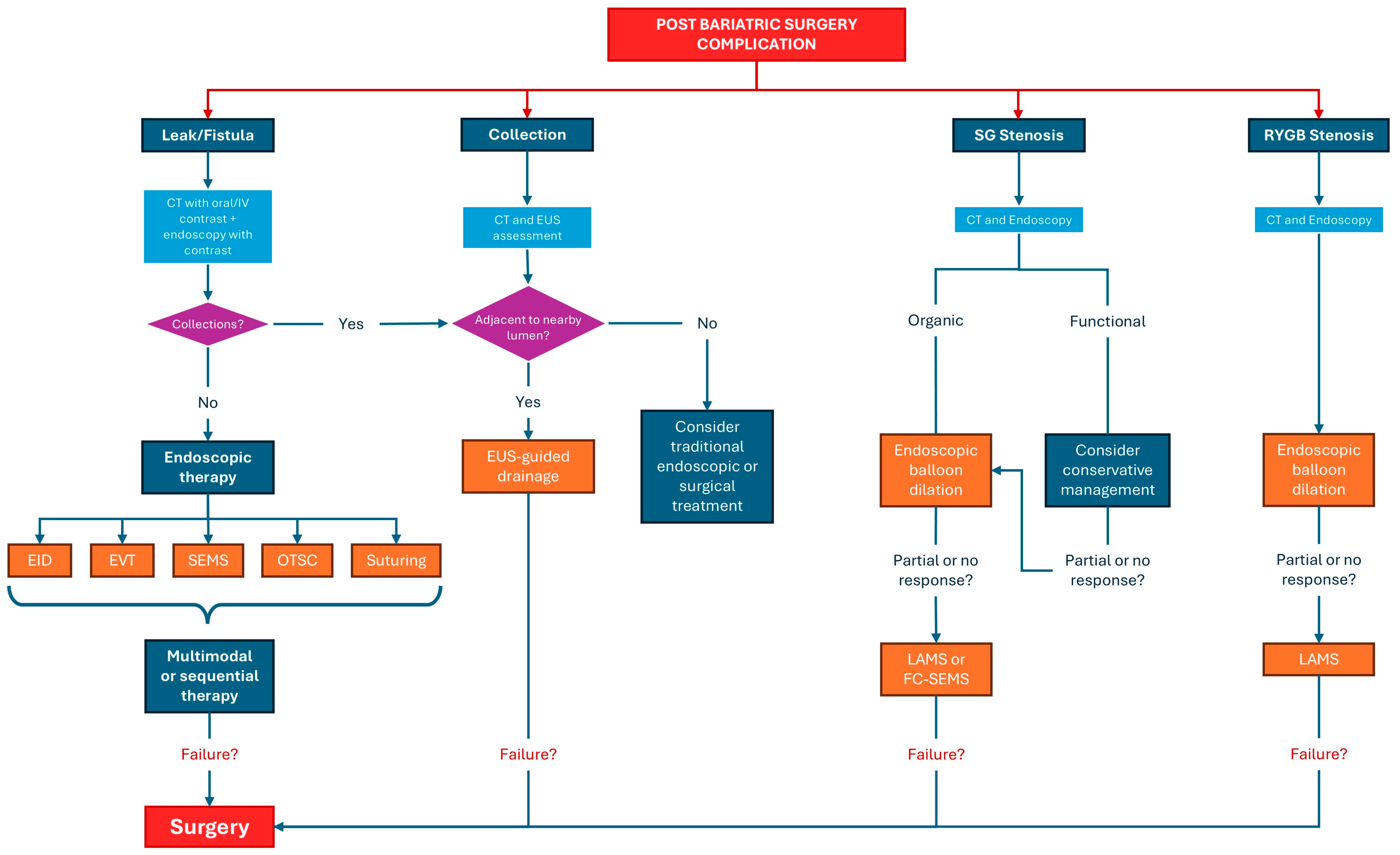 Diagnostics 16 00431 g007 Diagnostics 16 00431 g007