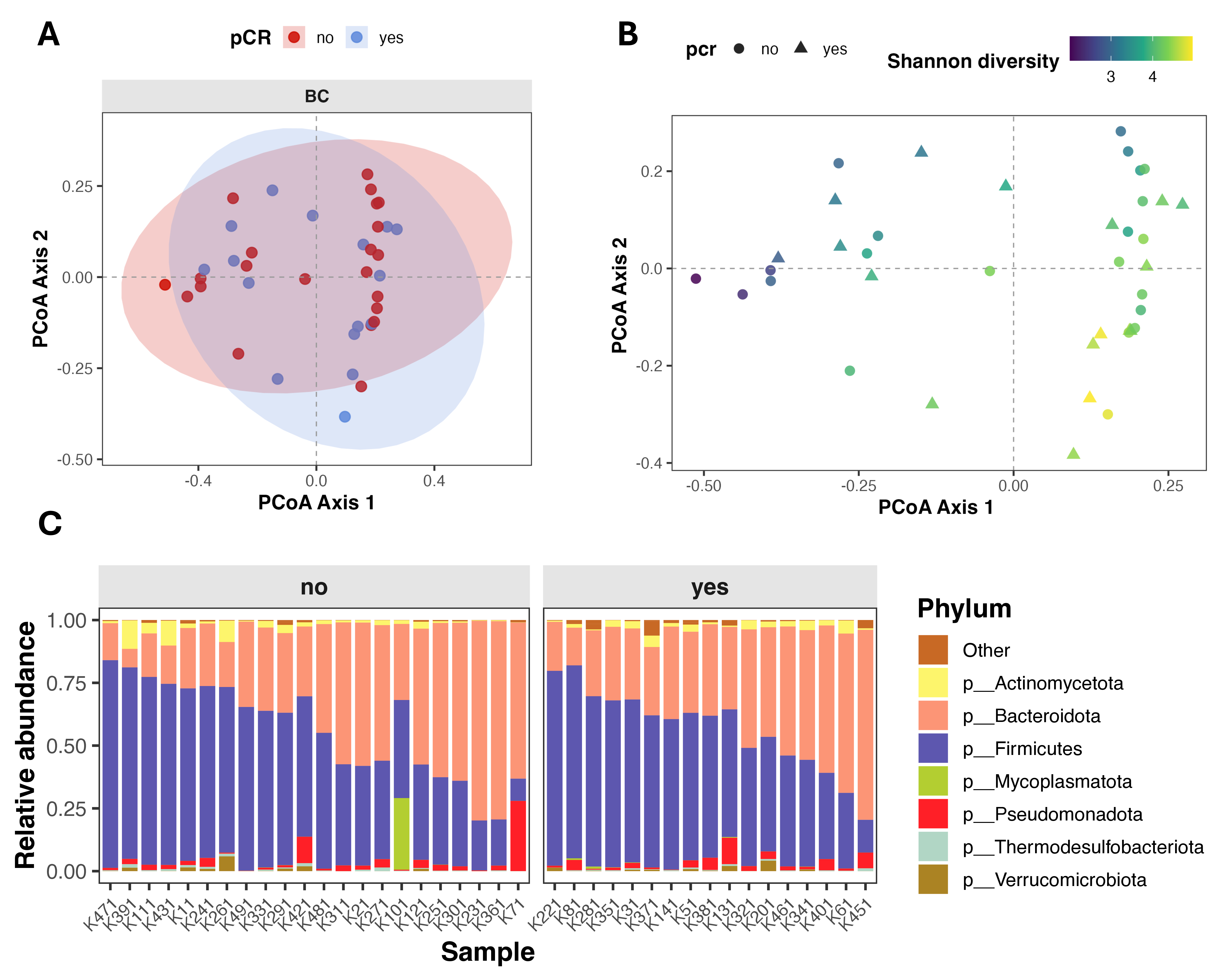 Diagnostics 16 00433 g002
