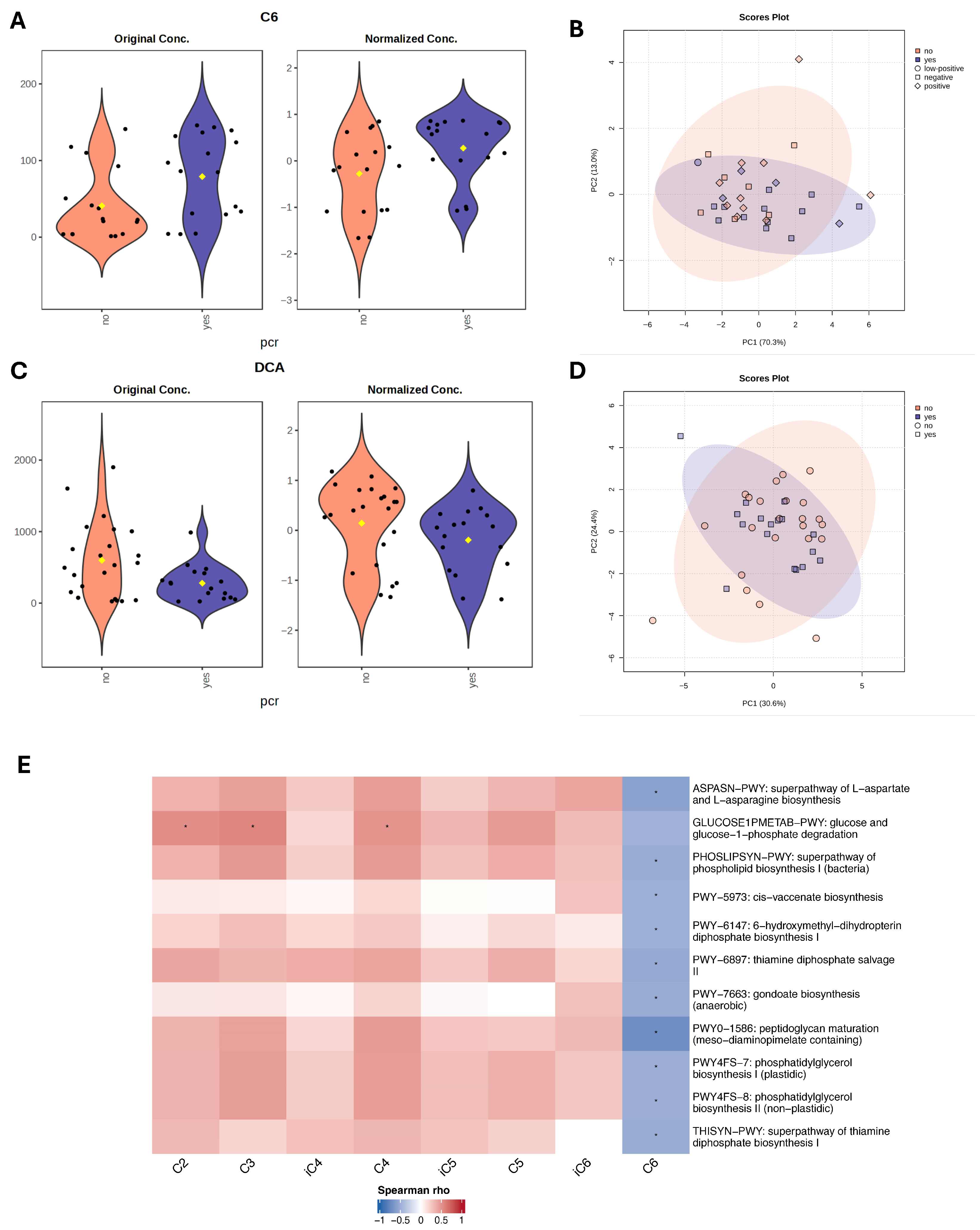 Diagnostics 16 00433 g004