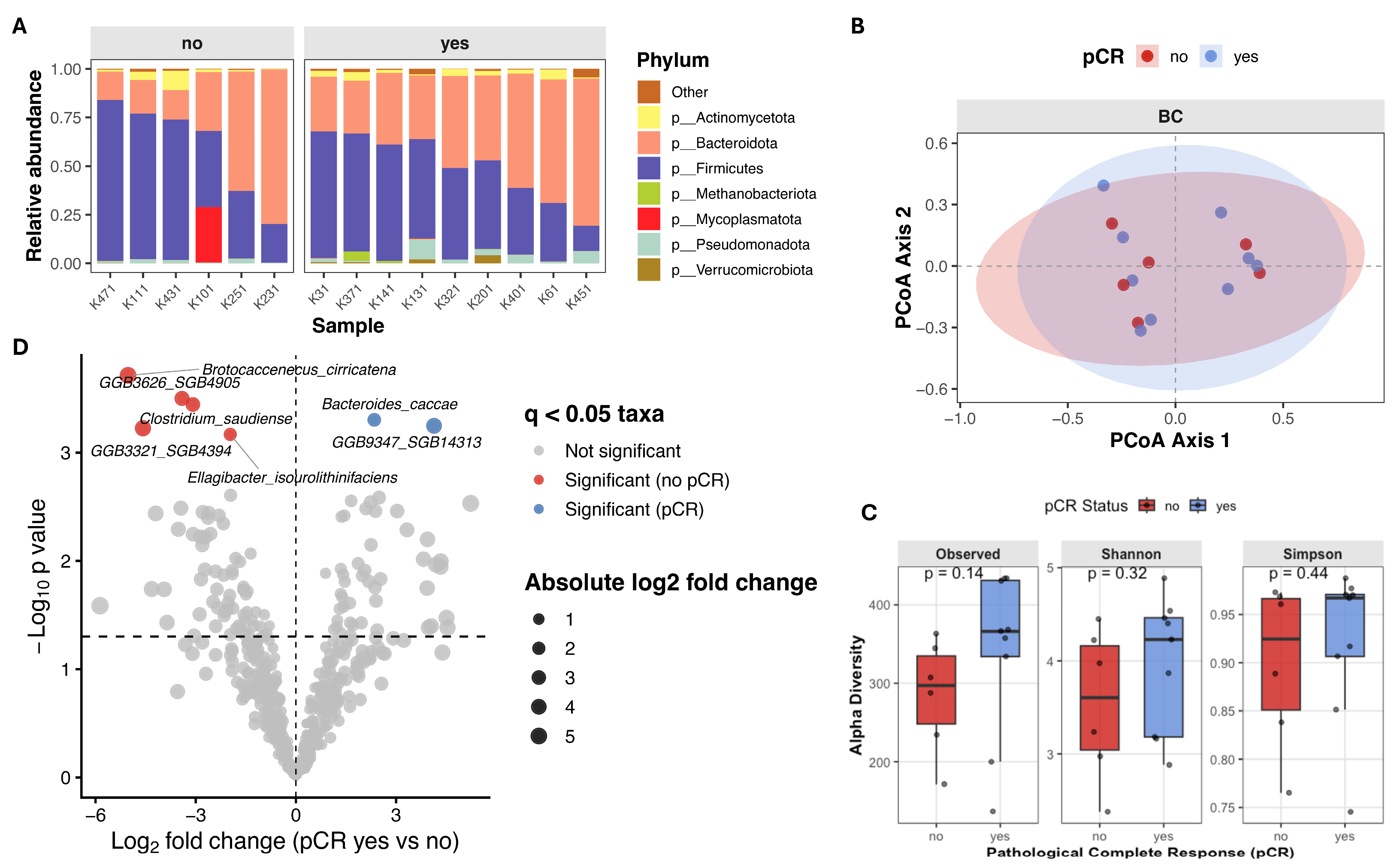 Diagnostics 16 00433 g005