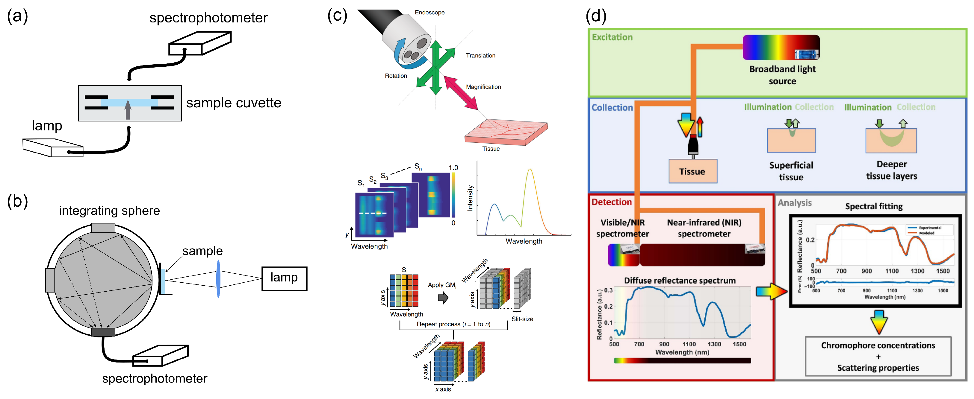 Diagnostics 16 00438 g002