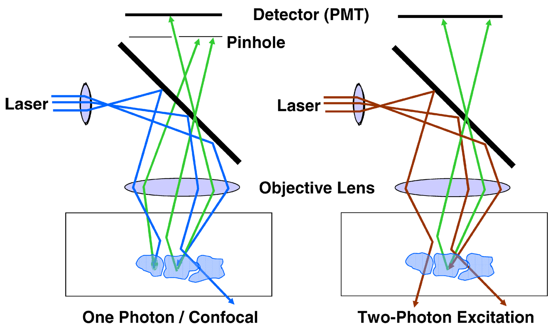 Diagnostics 16 00438 g003