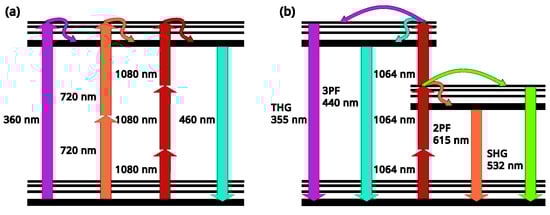 Diagnostics 16 00438 g004