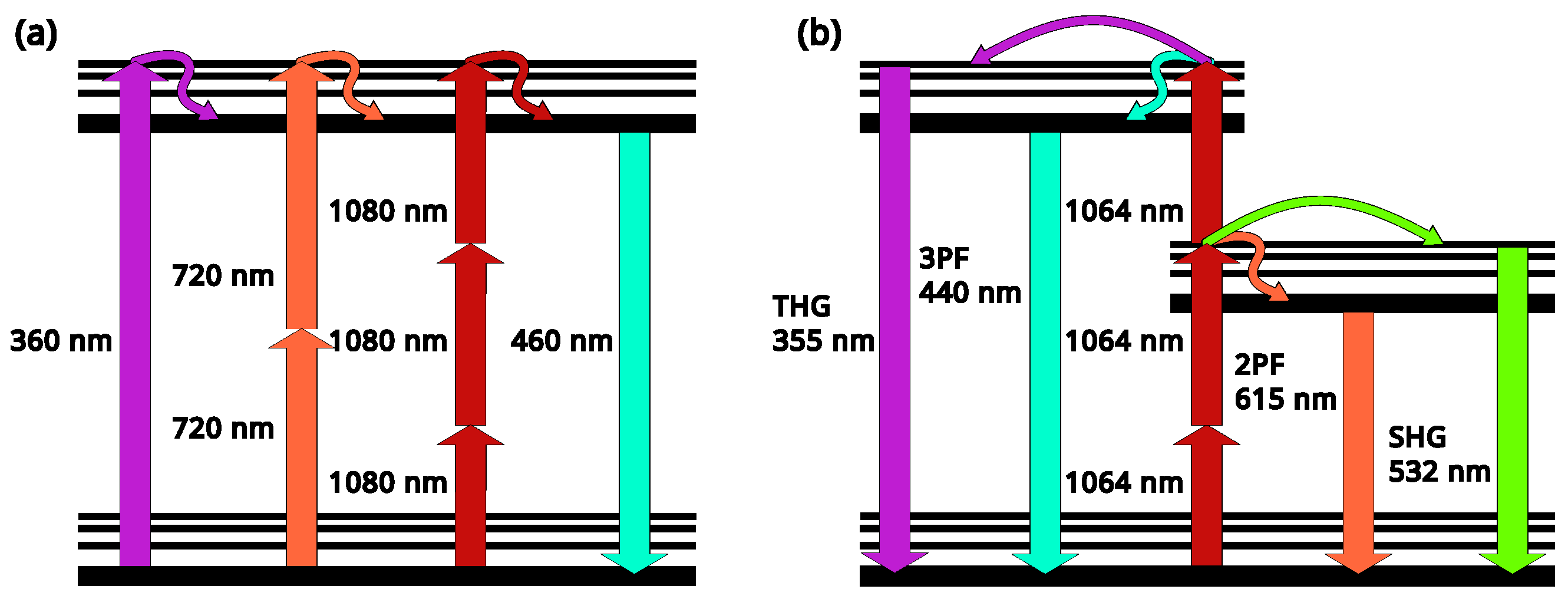 Diagnostics 16 00438 g004