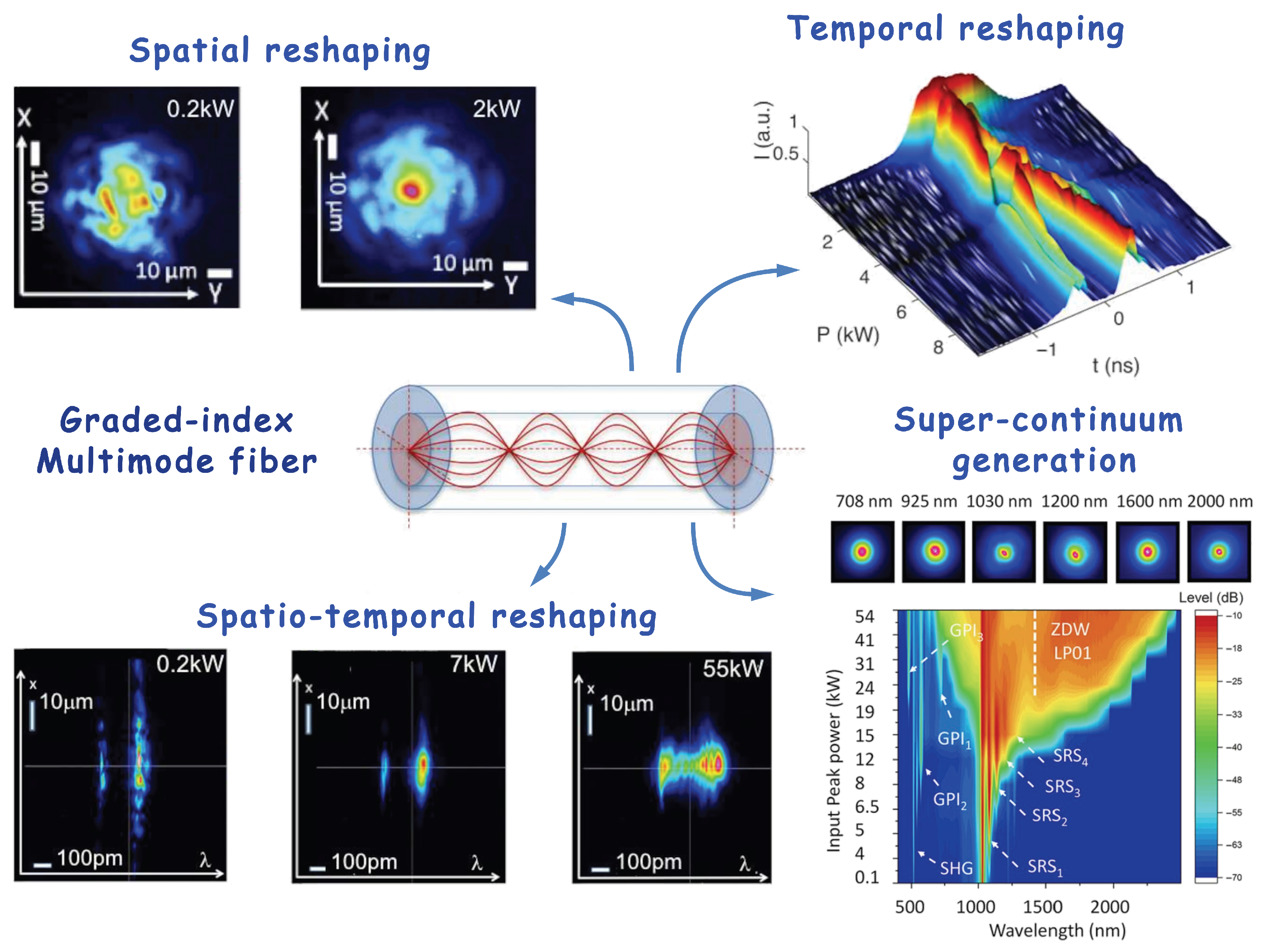Diagnostics 16 00438 g005