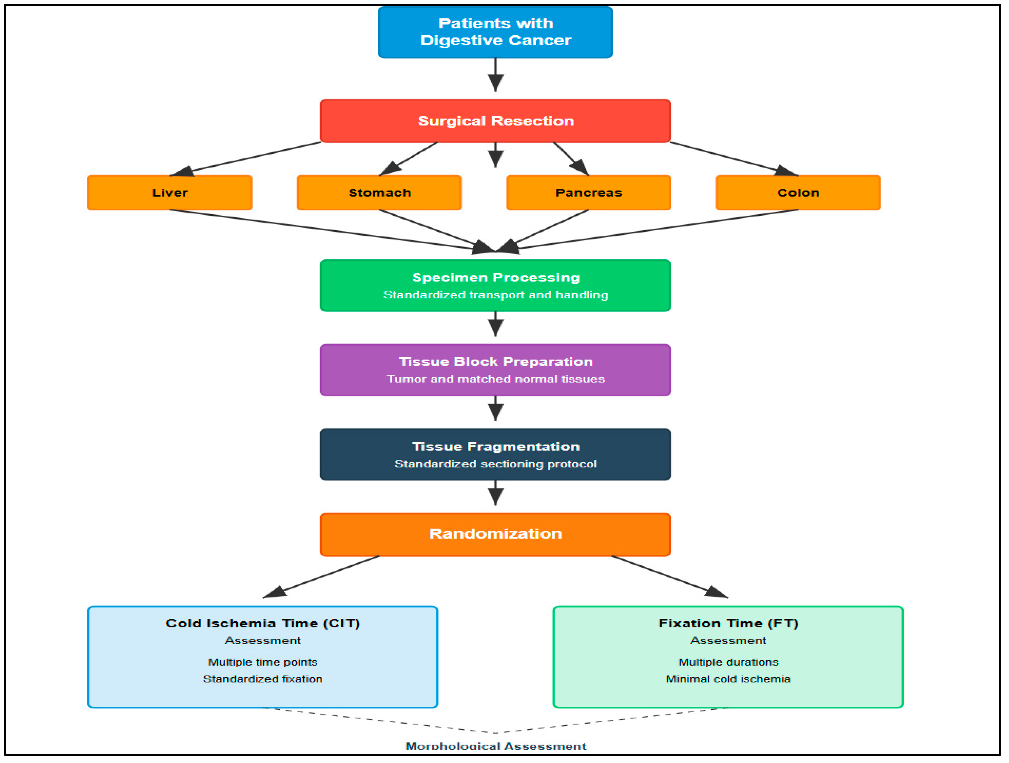 Diagnostics 16 00445 g002 Diagnostics 16 00445 g002