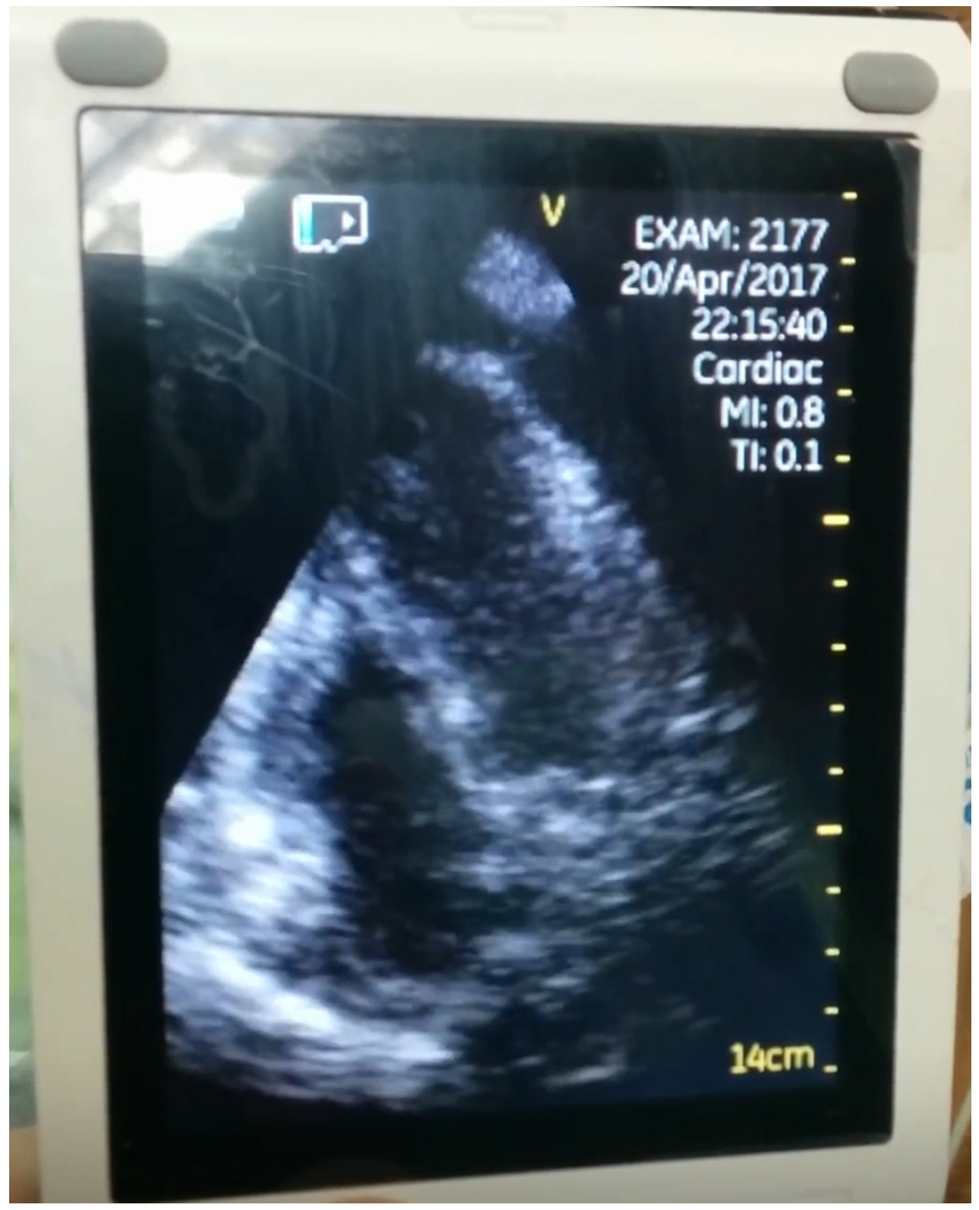 Diagnostics 16 00464 g003 Diagnostics 16 00464 g003