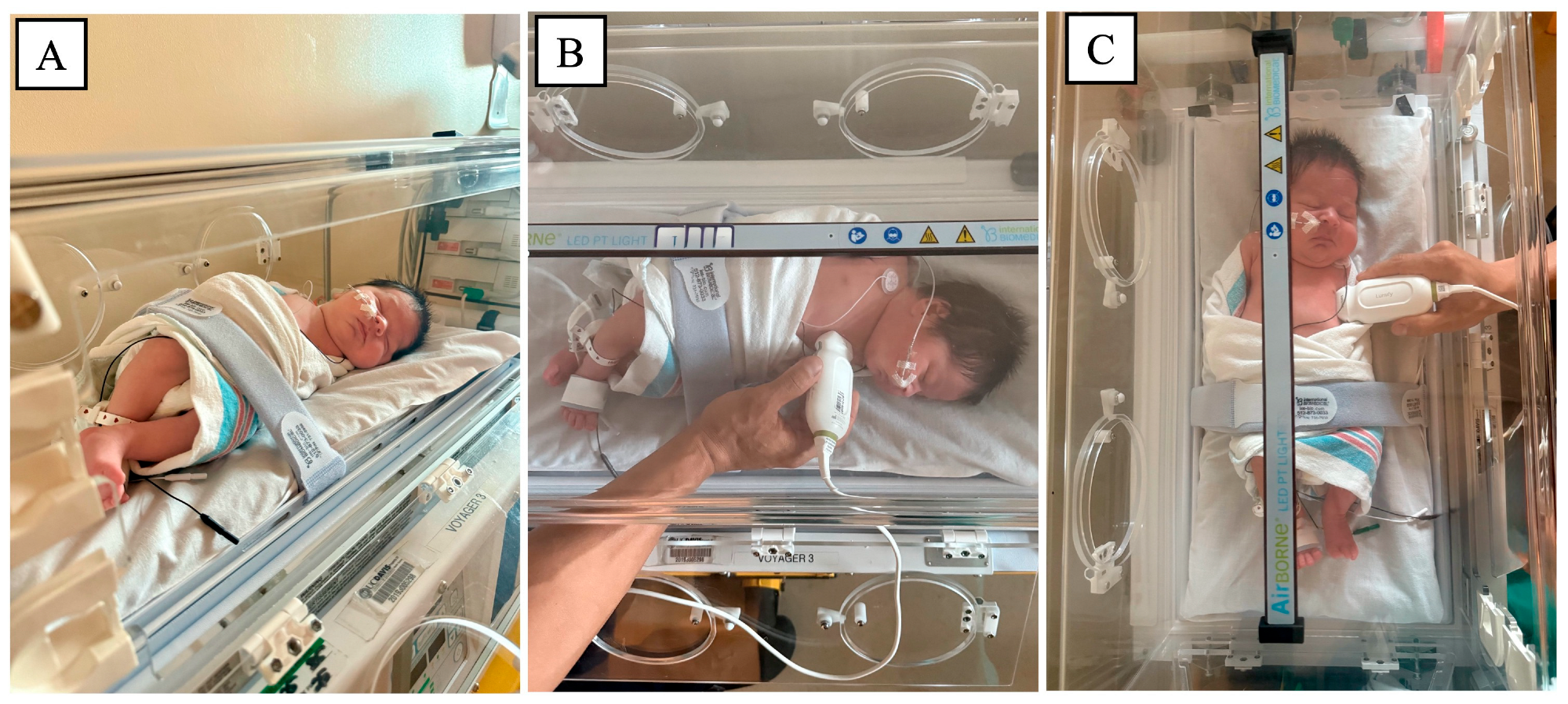 Diagnostics 16 00471 g002