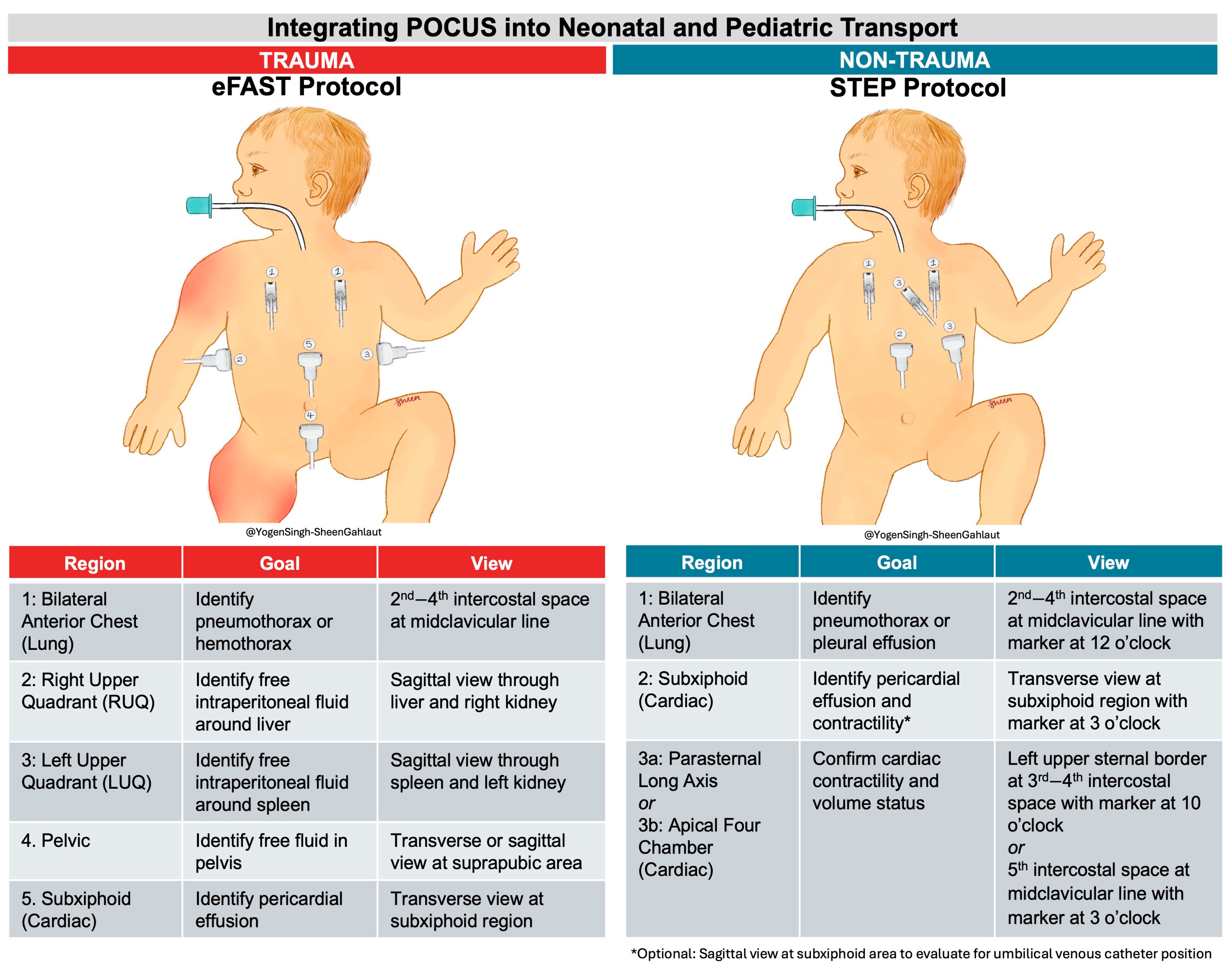 Diagnostics 16 00471 g003