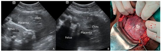 Diagnostics 16 00478 g002