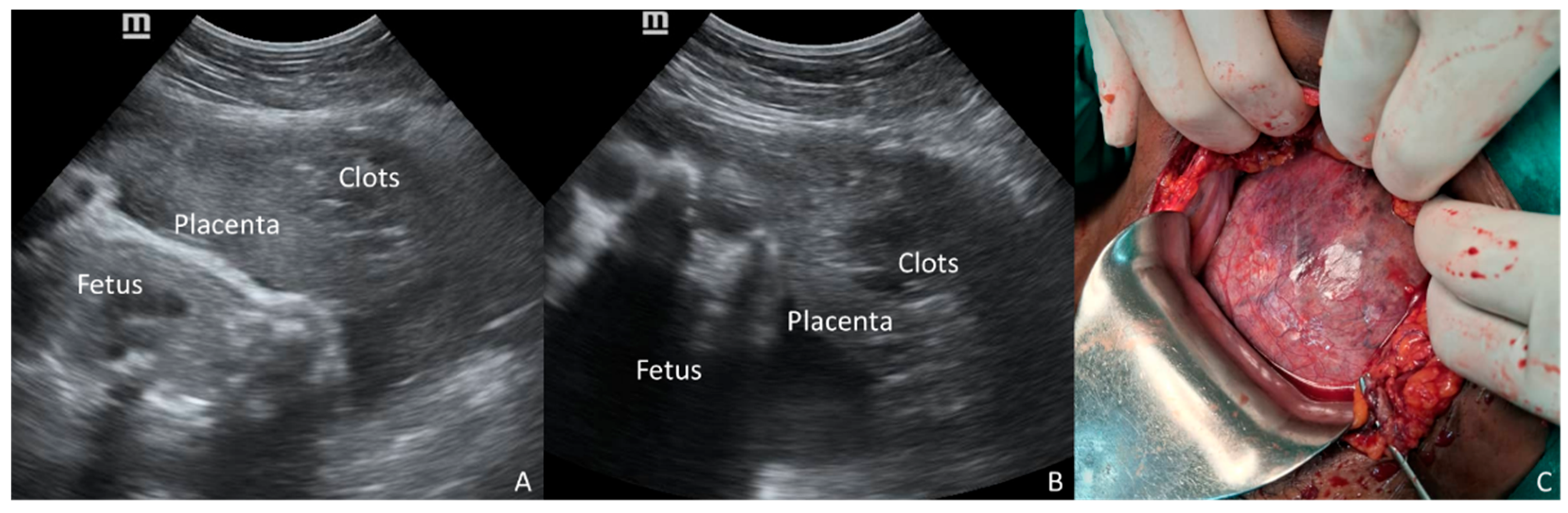 Diagnostics 16 00478 g002
