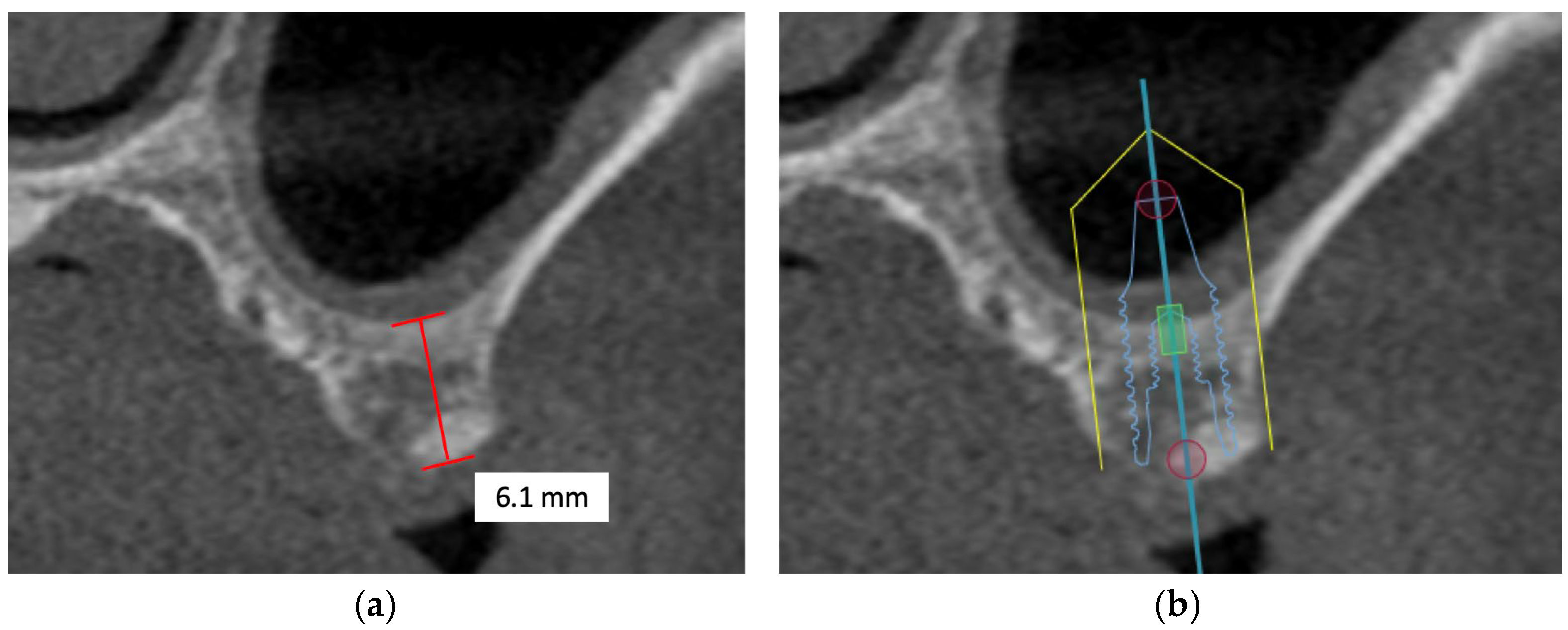 Diagnostics 16 00479 g001