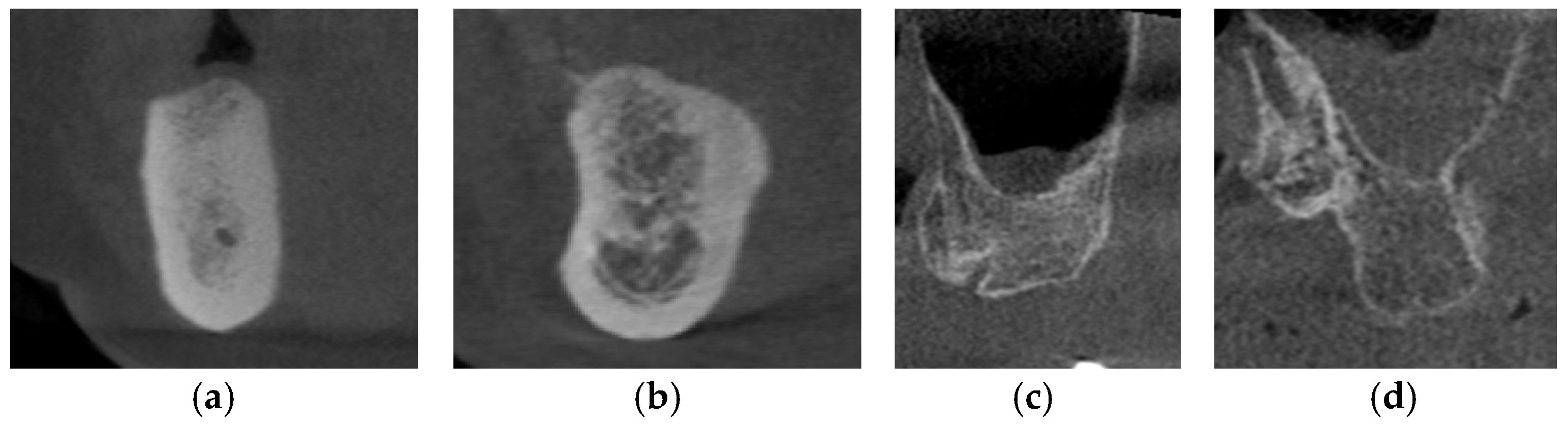 Diagnostics 16 00479 g004