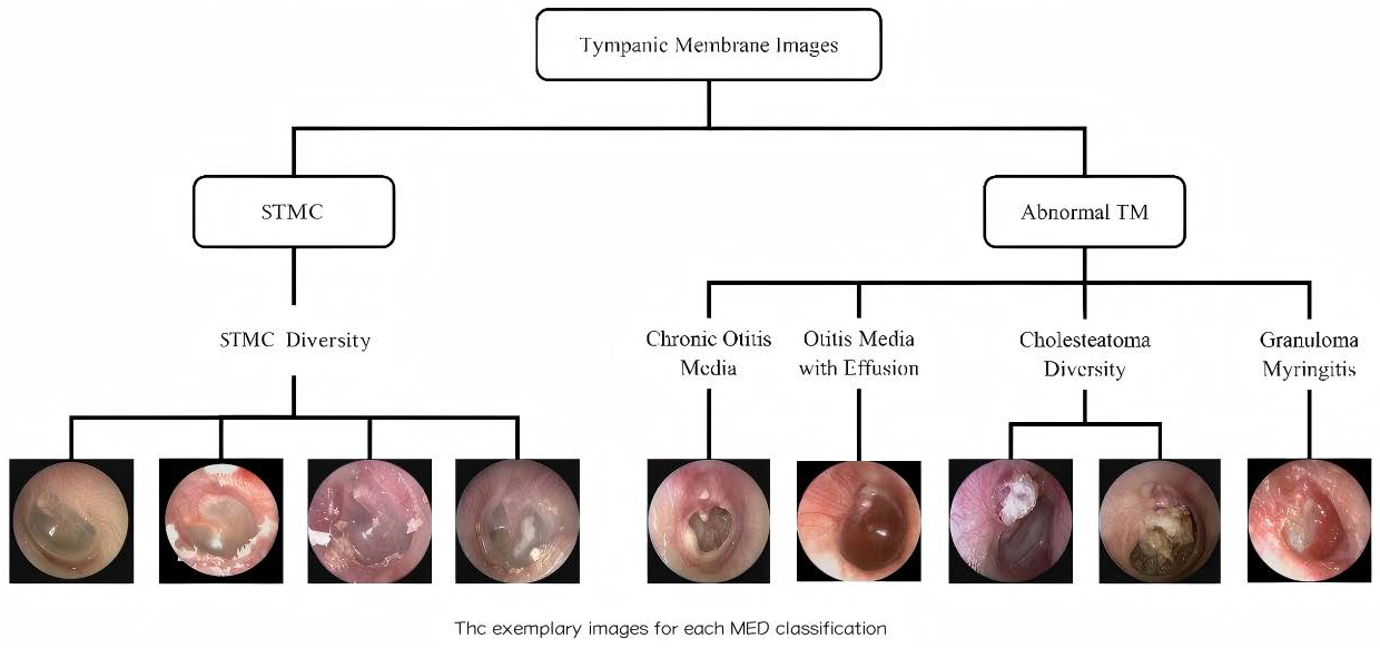 Diagnostics 16 00482 g001