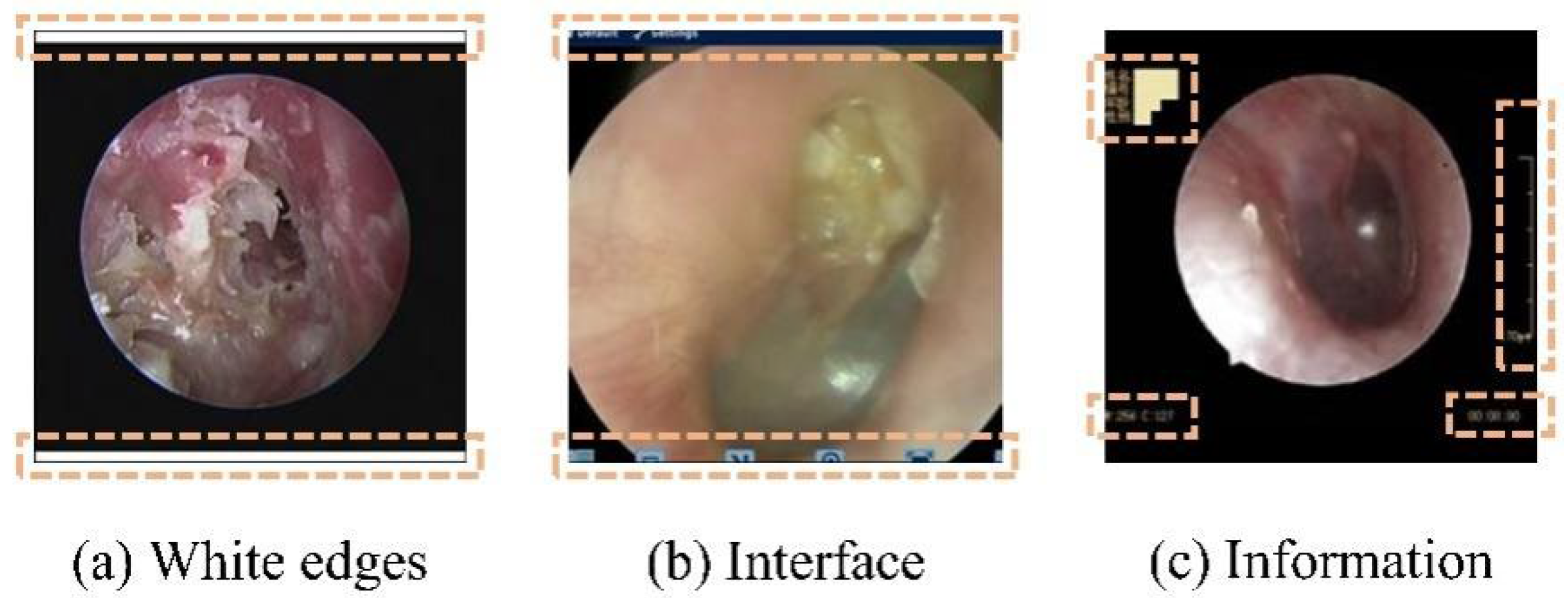 Diagnostics 16 00482 g002