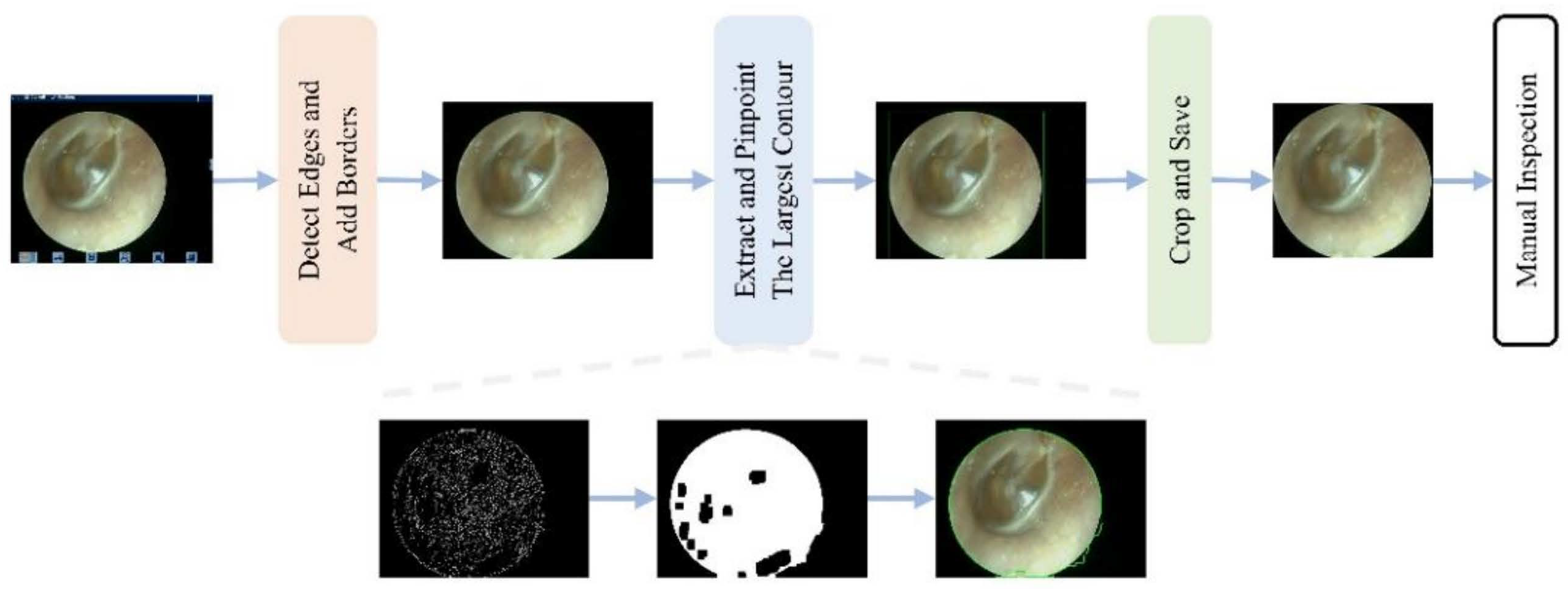 Diagnostics 16 00482 g003