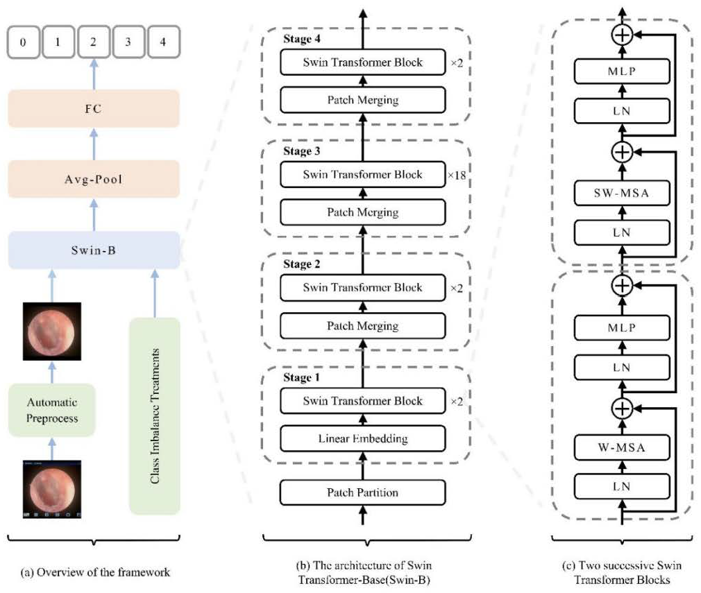 Diagnostics 16 00482 g004