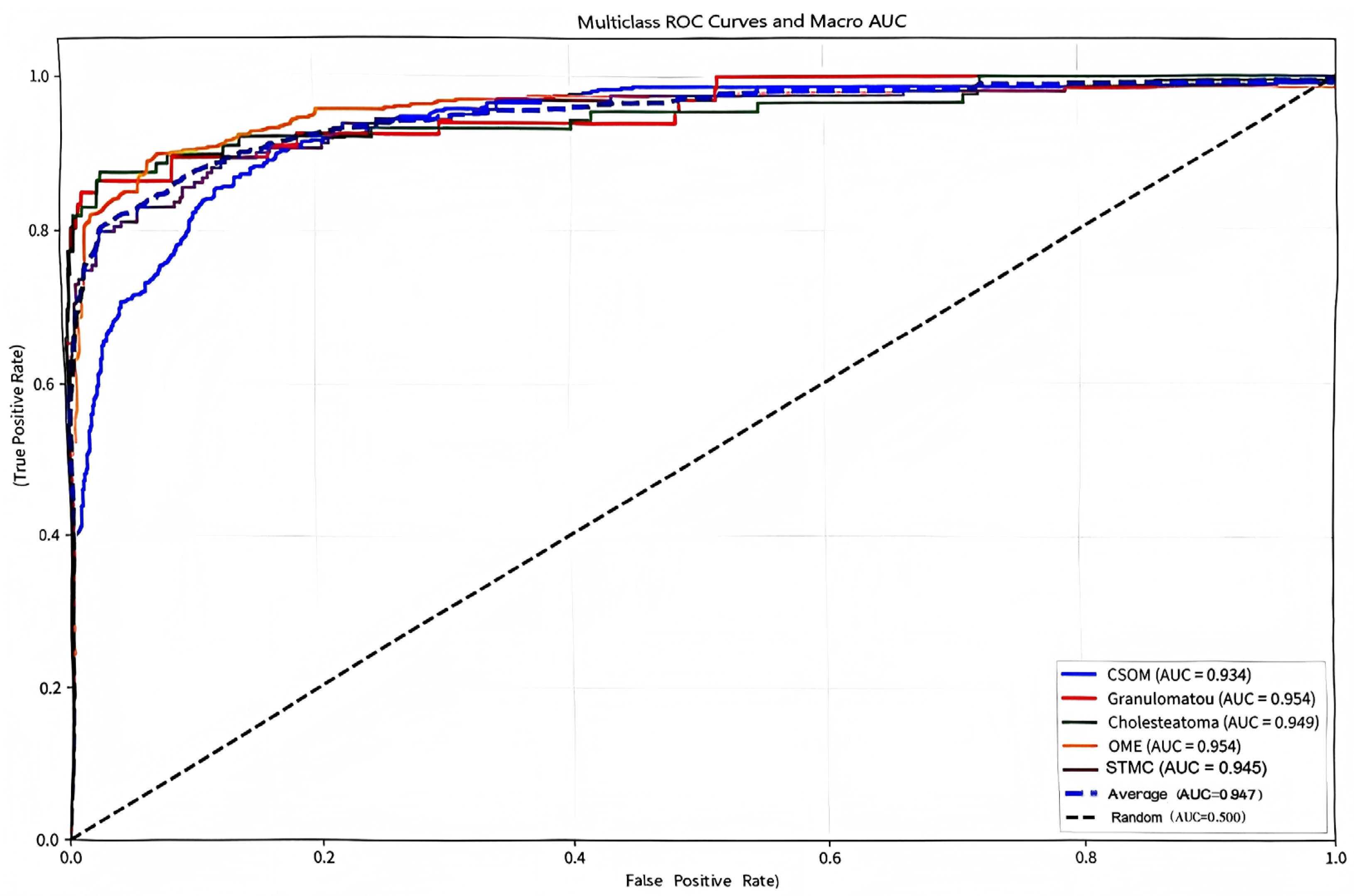 Diagnostics 16 00482 g006