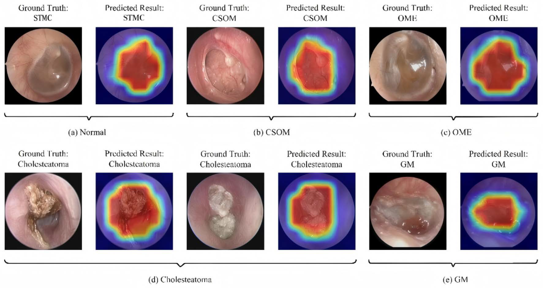 Diagnostics 16 00482 g007