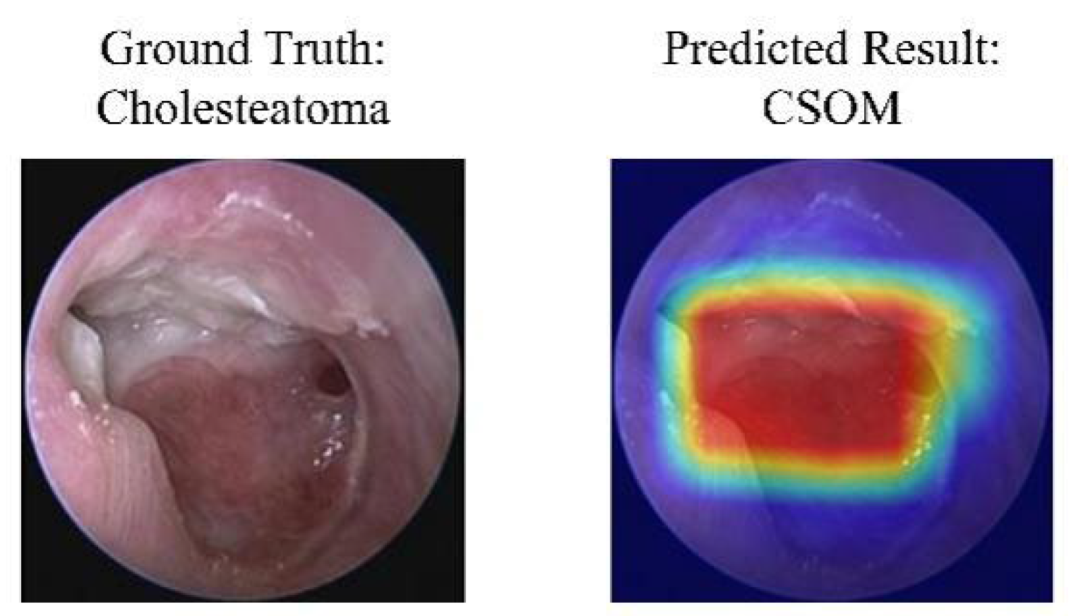 Diagnostics 16 00482 g008