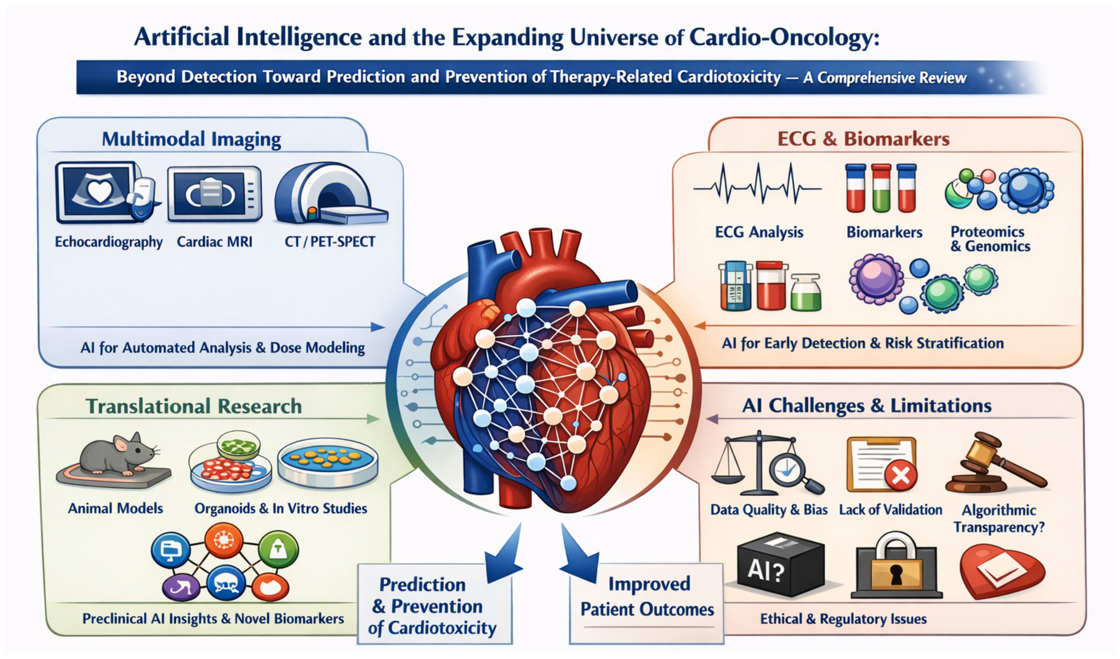 Diagnostics 16 00488 g001
