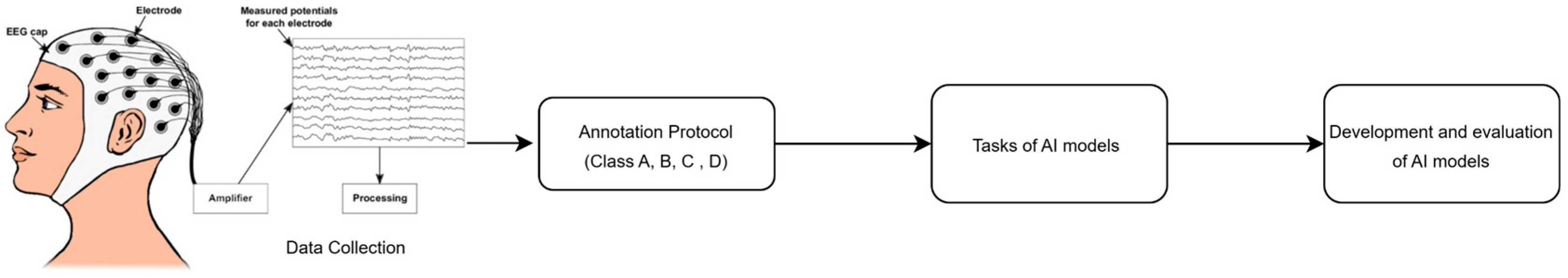 Diagnostics 16 00492 g001