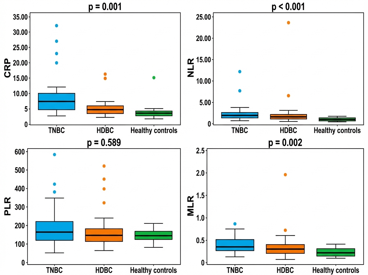 Diagnostics 16 00494 g001