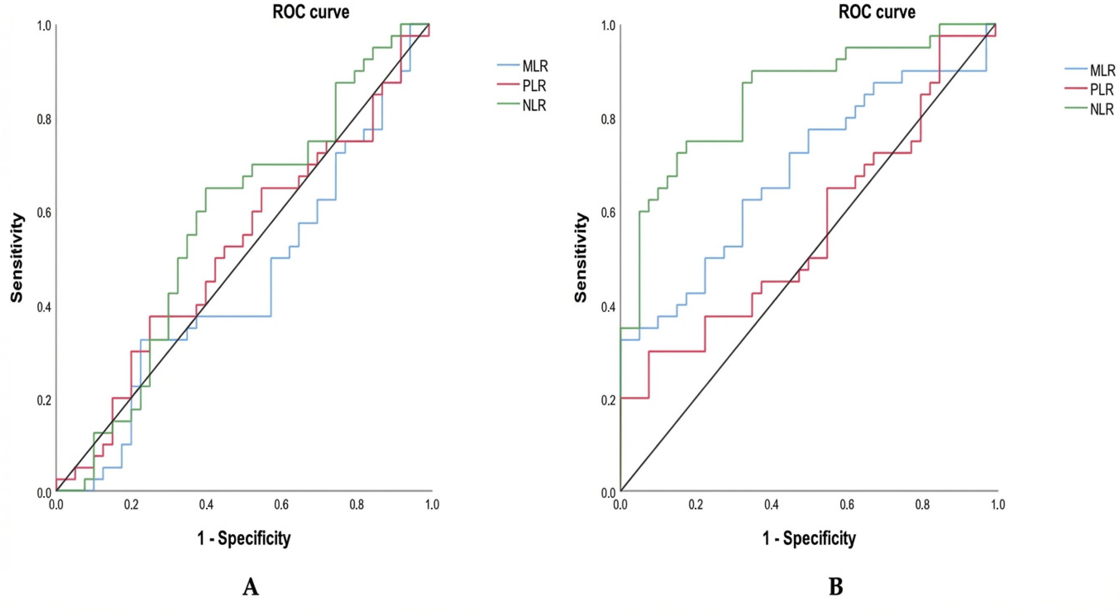 Diagnostics 16 00494 g003