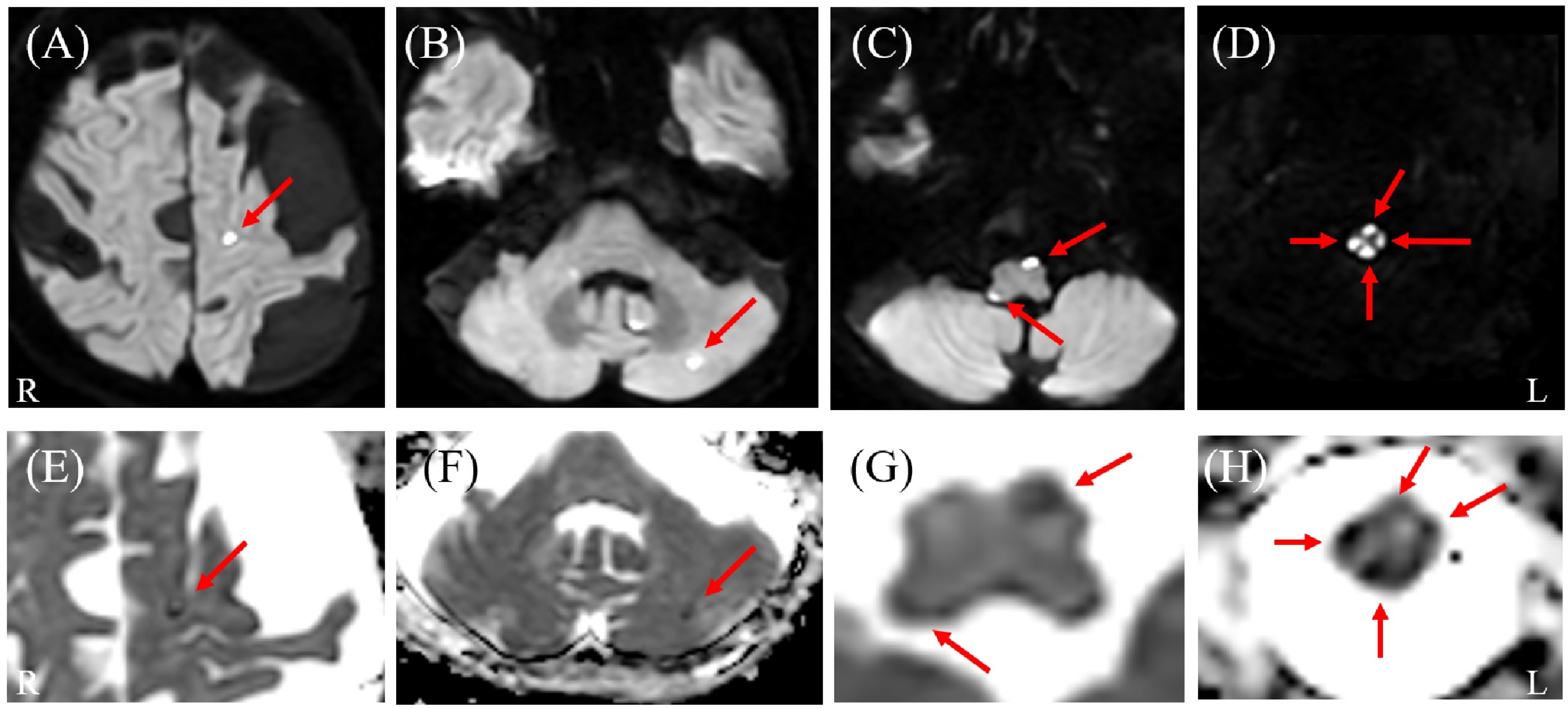 Diagnostics 16 00504 g001