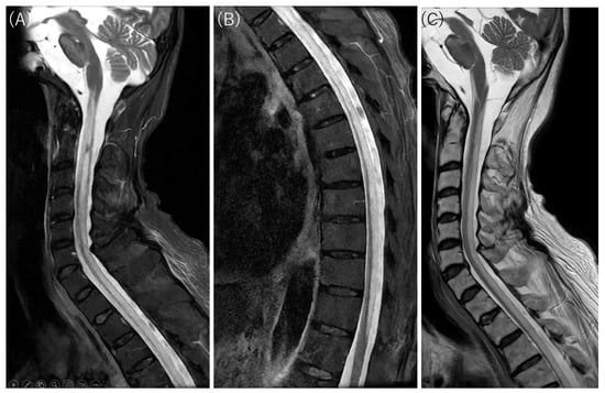 Diagnostics 16 00504 g003