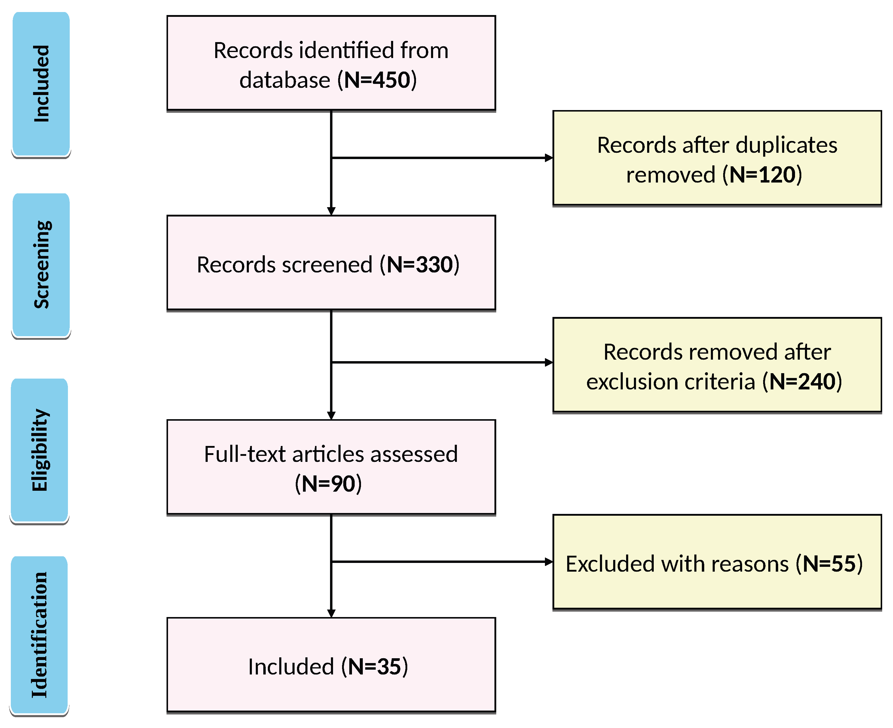 Diagnostics 16 00506 g001