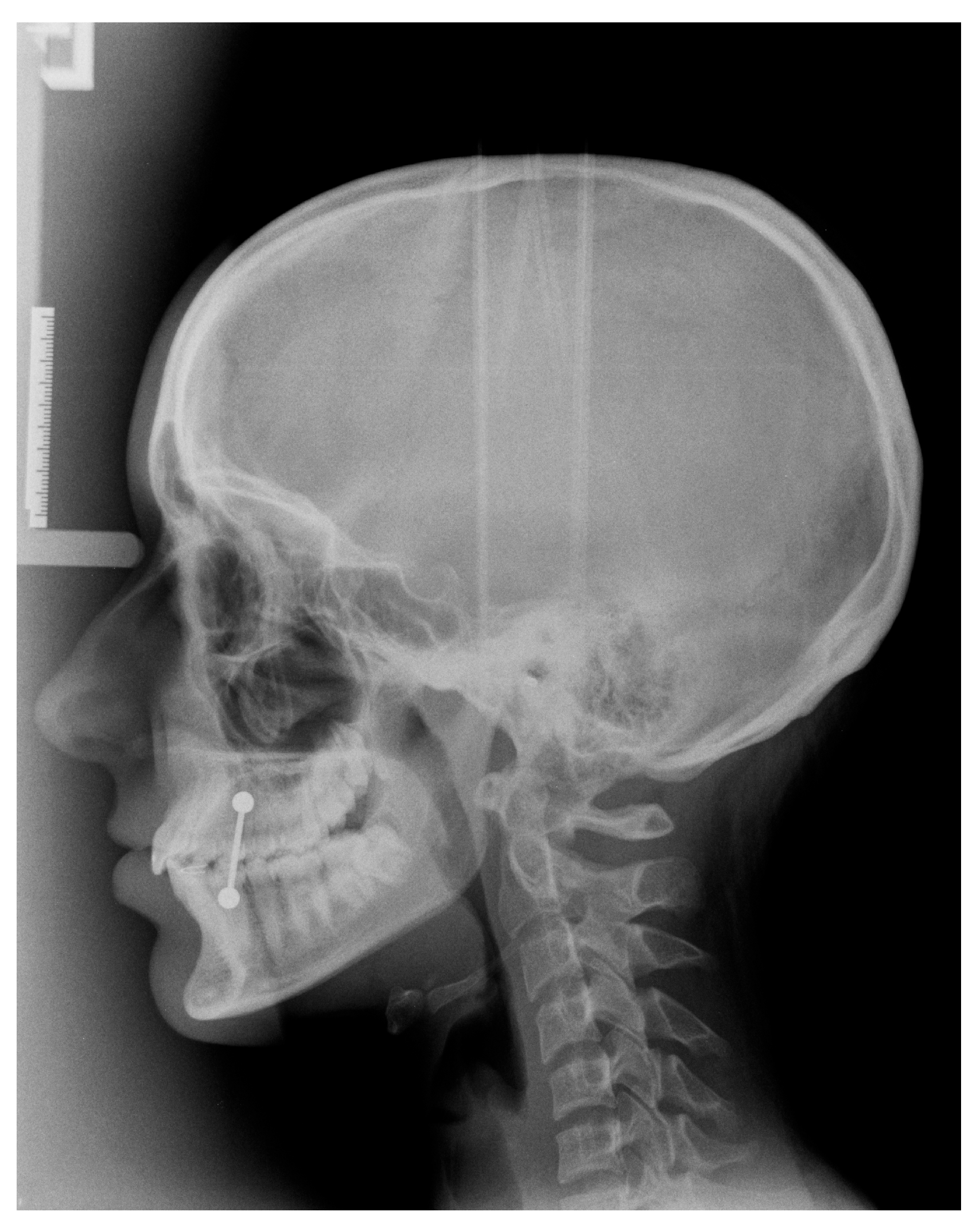 Diagnostics 16 00543 g001 Diagnostics 16 00543 g001