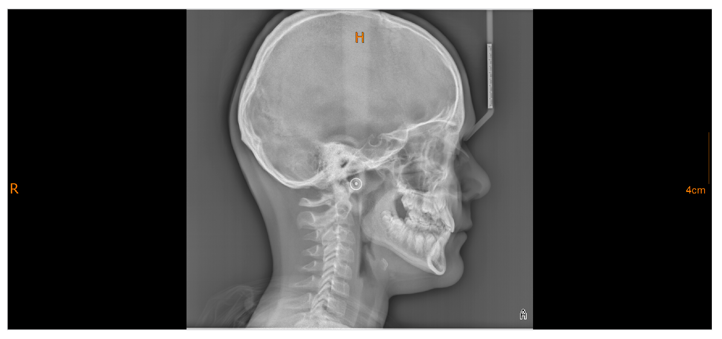 Diagnostics 16 00543 g004 Diagnostics 16 00543 g004