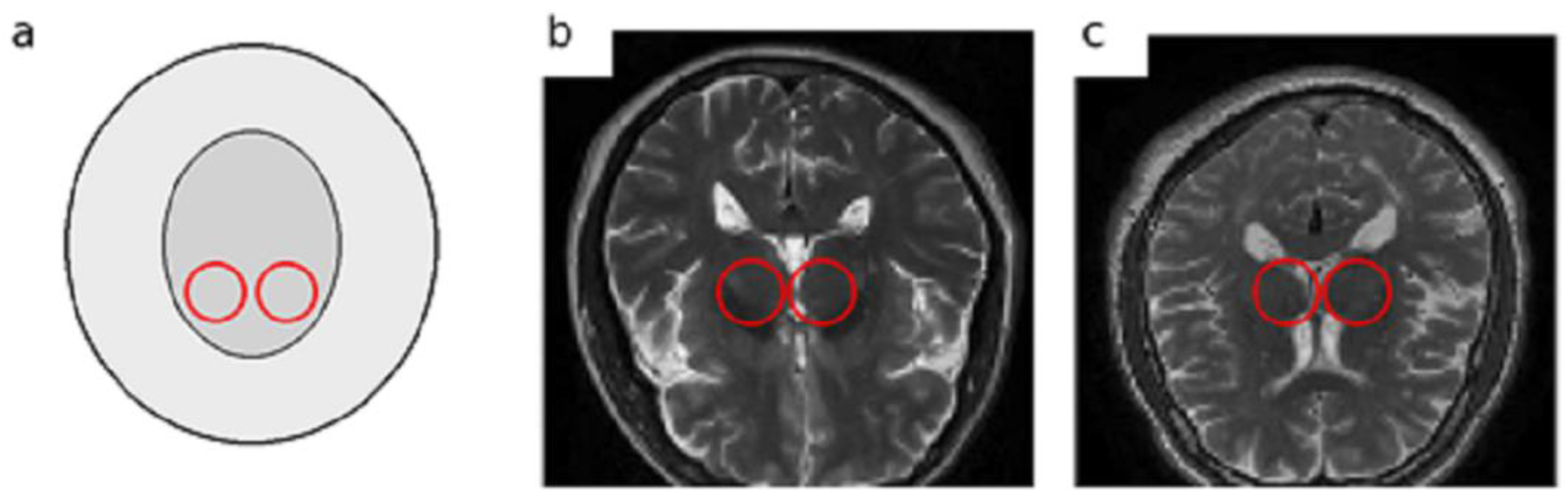 Diagnostics 16 00550 g001