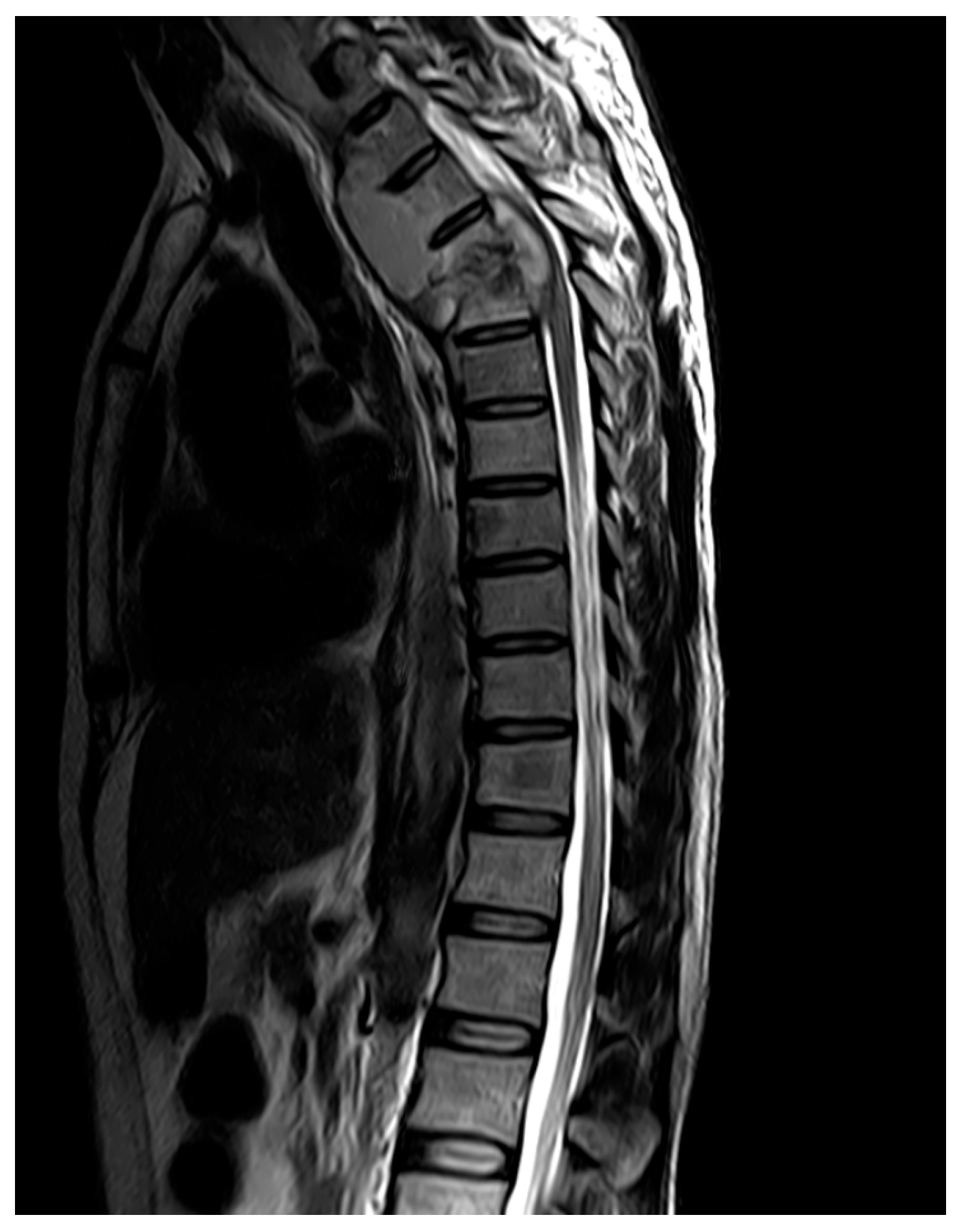 Diagnostics 16 00586 g002 Diagnostics 16 00586 g002
