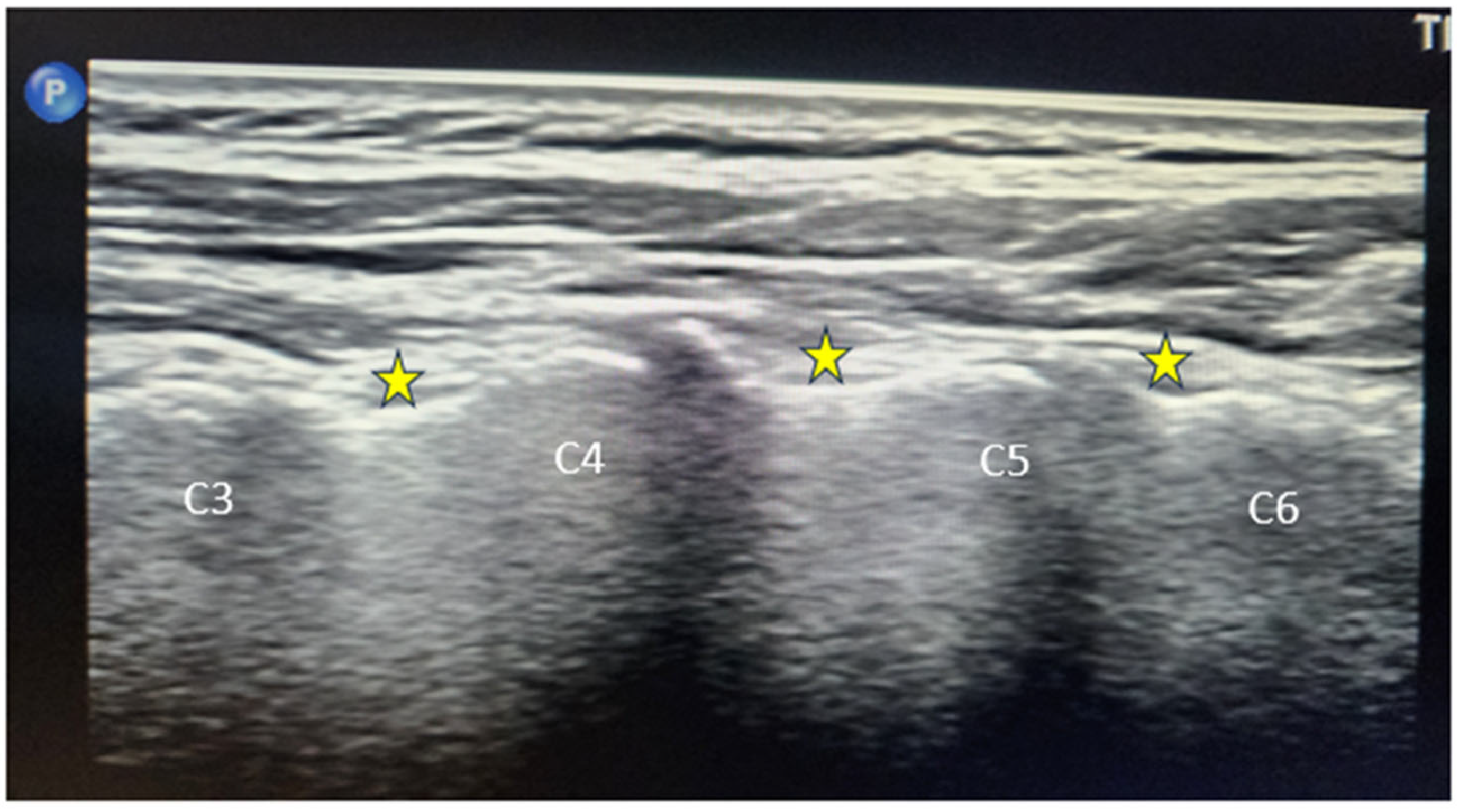 Diagnostics 16 00592 g001