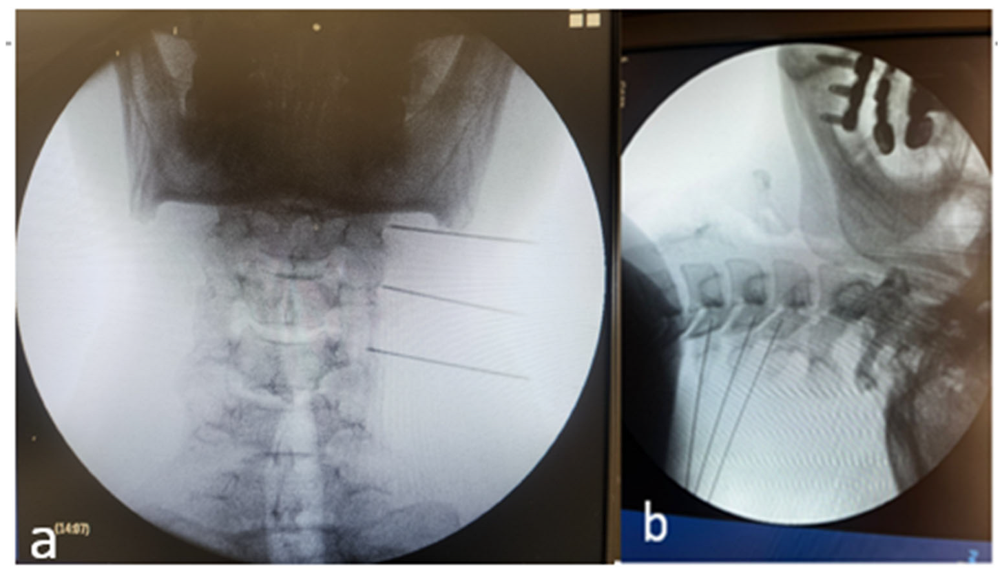 Diagnostics 16 00592 g002