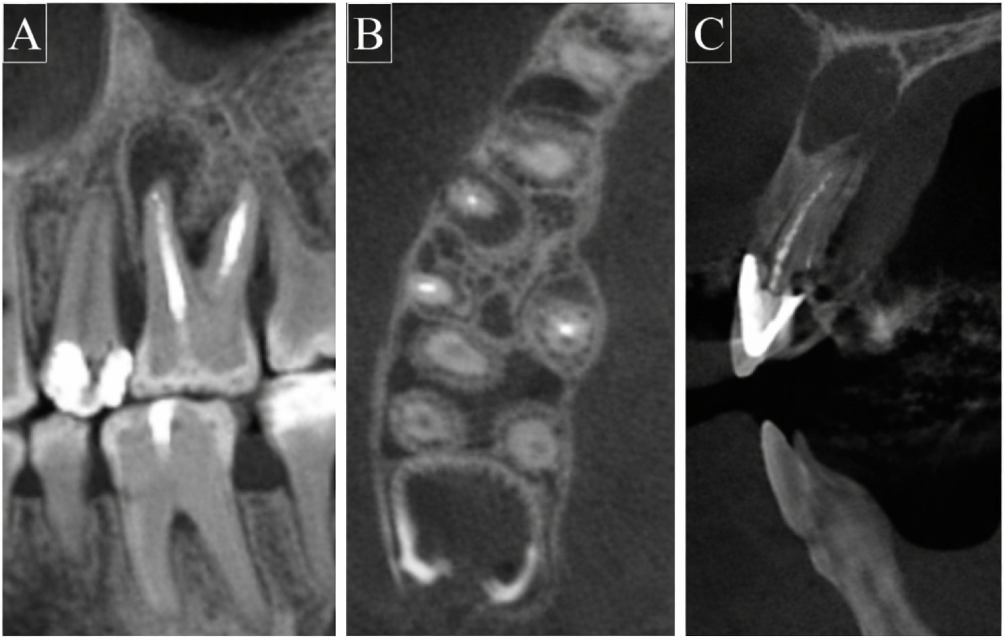 Diagnostics 16 00618 g002