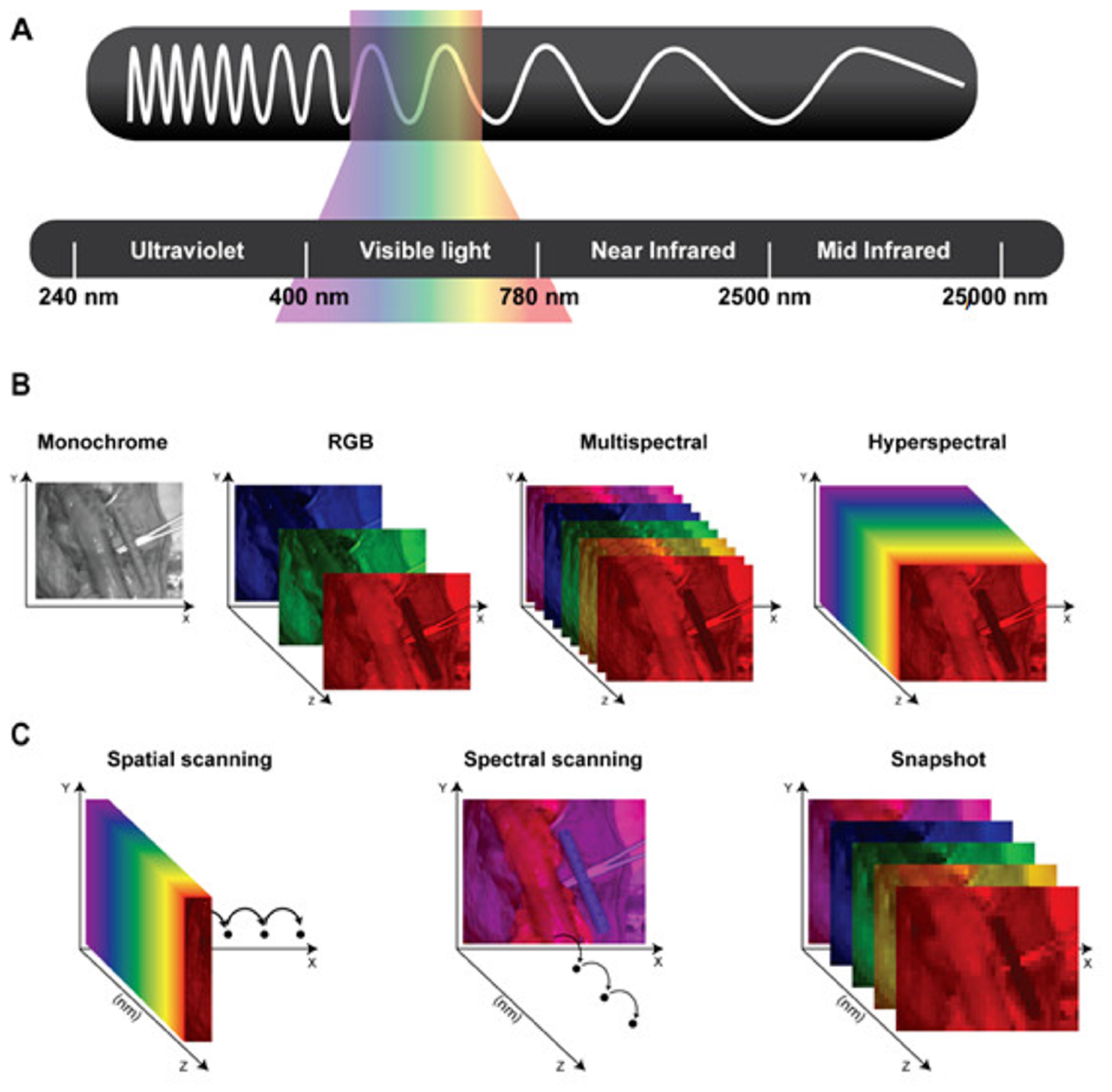 Diagnostics 16 00620 g001