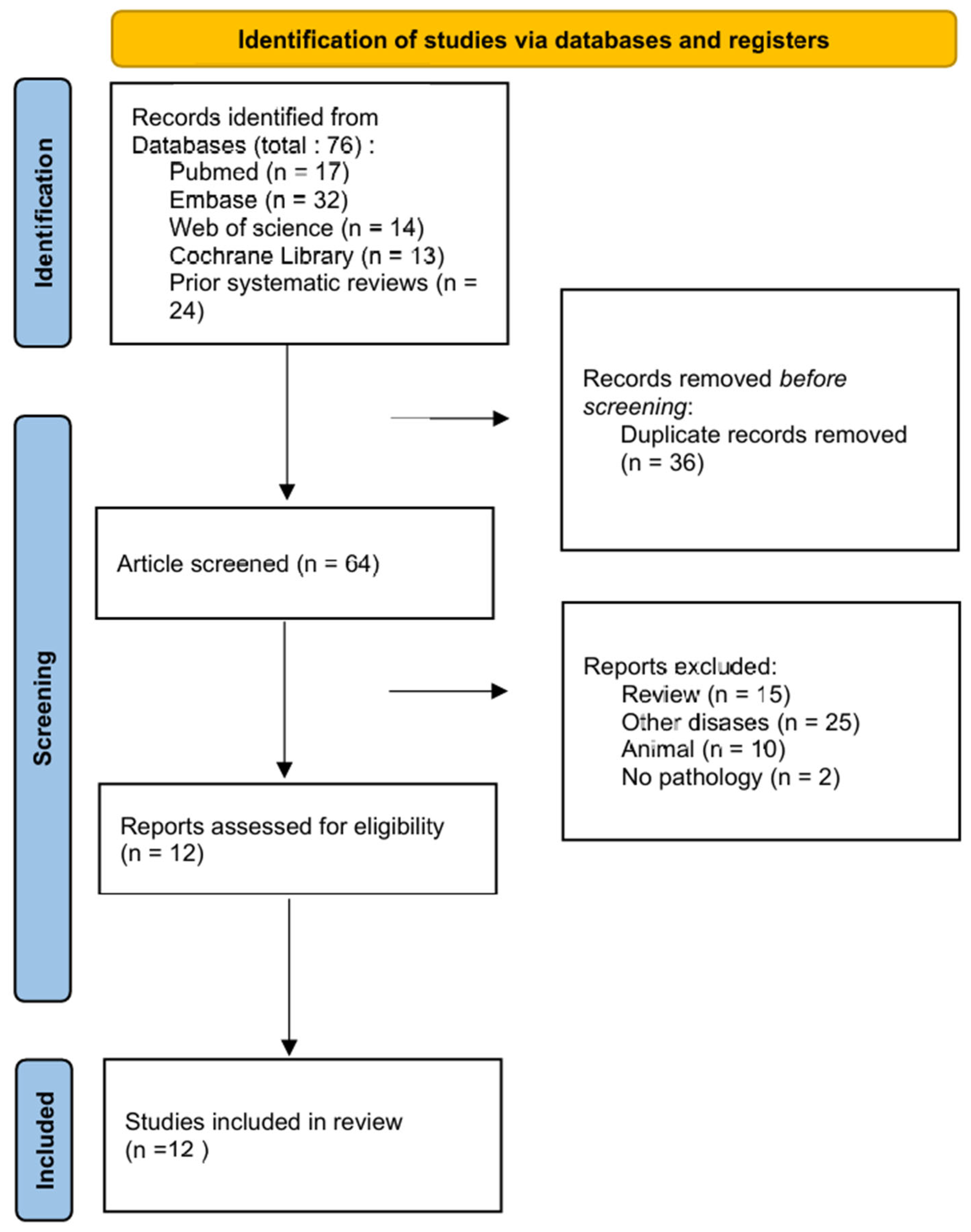 Diagnostics 16 00648 g001