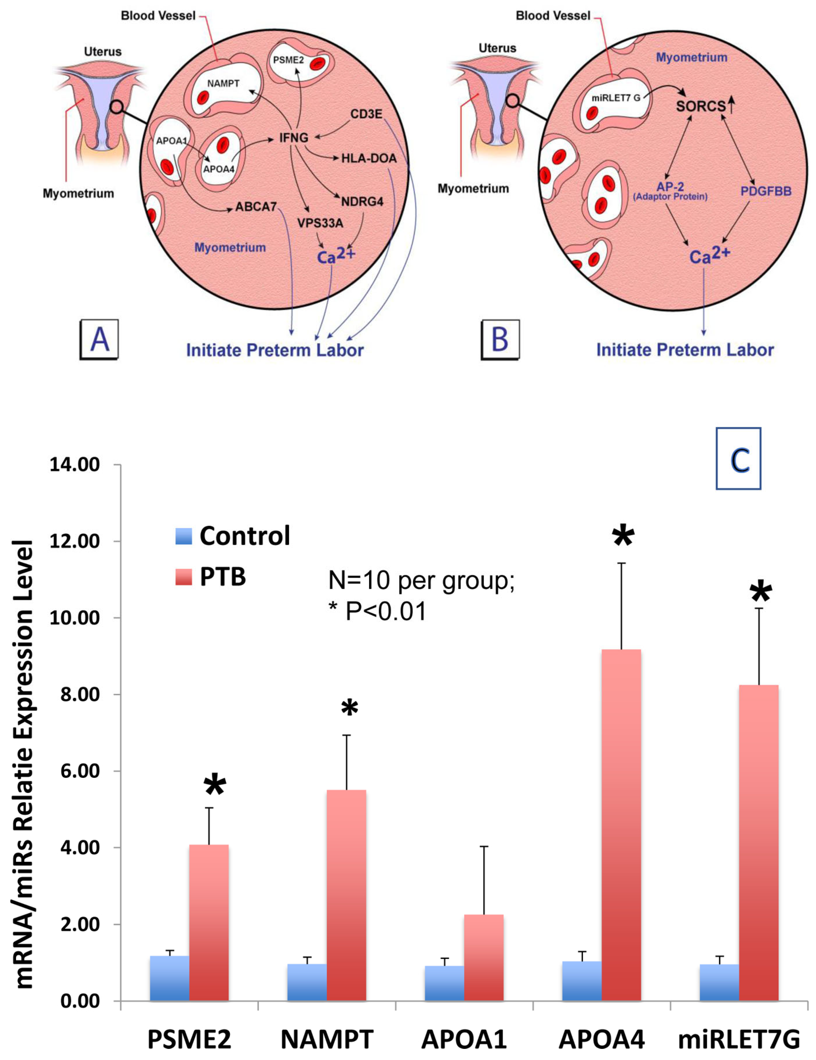 Diagnostics 16 00660 g001