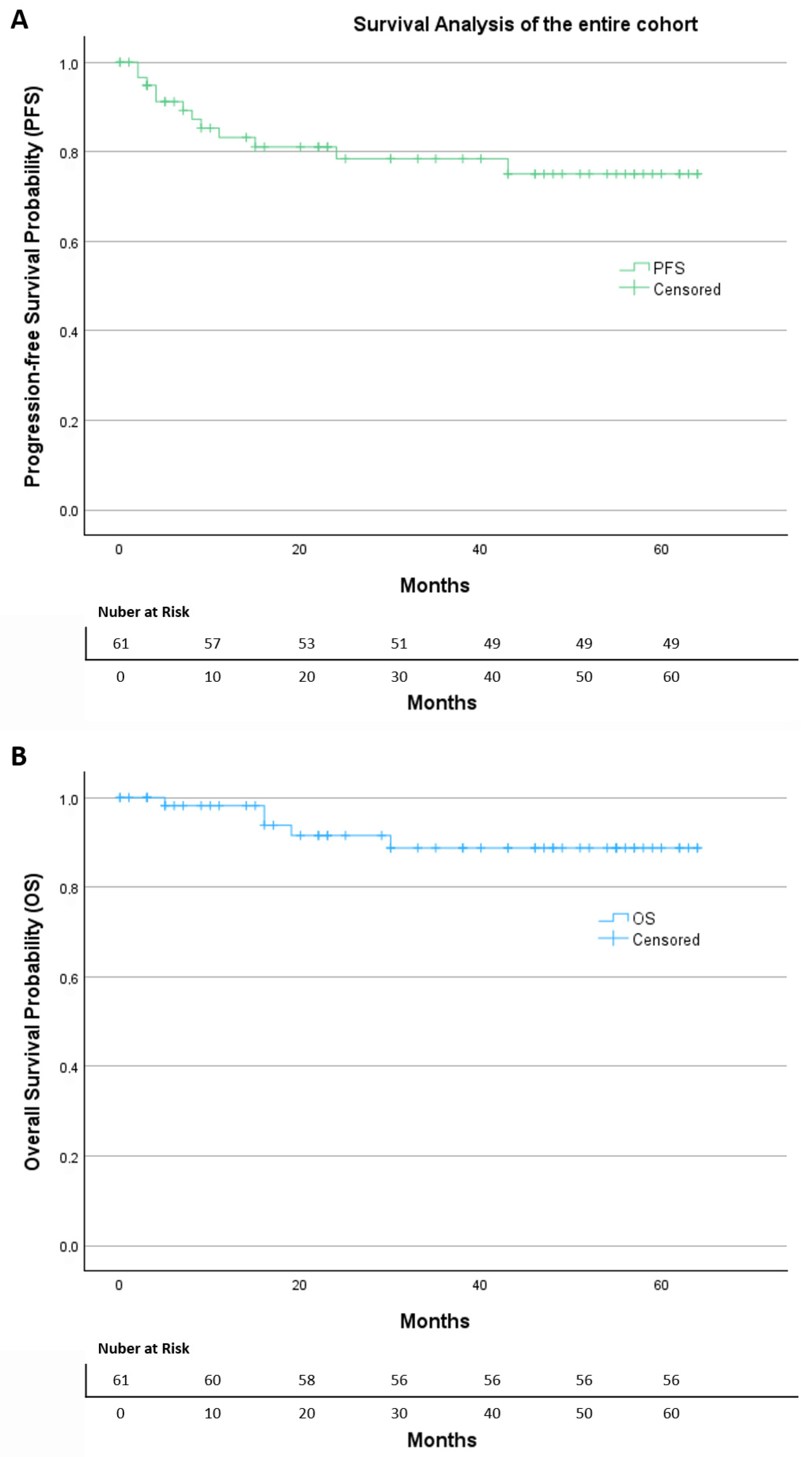 Diagnostics 16 00689 g002 Diagnostics 16 00689 g002