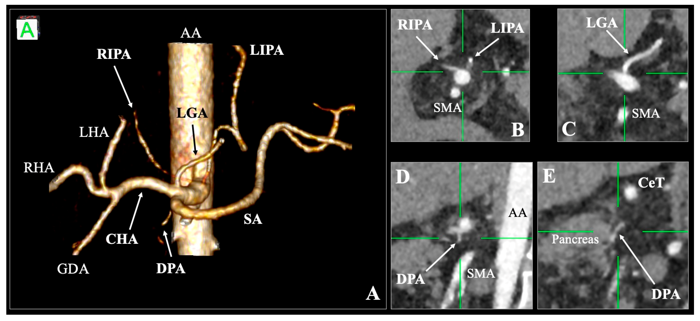Diagnostics 16 00701 g001