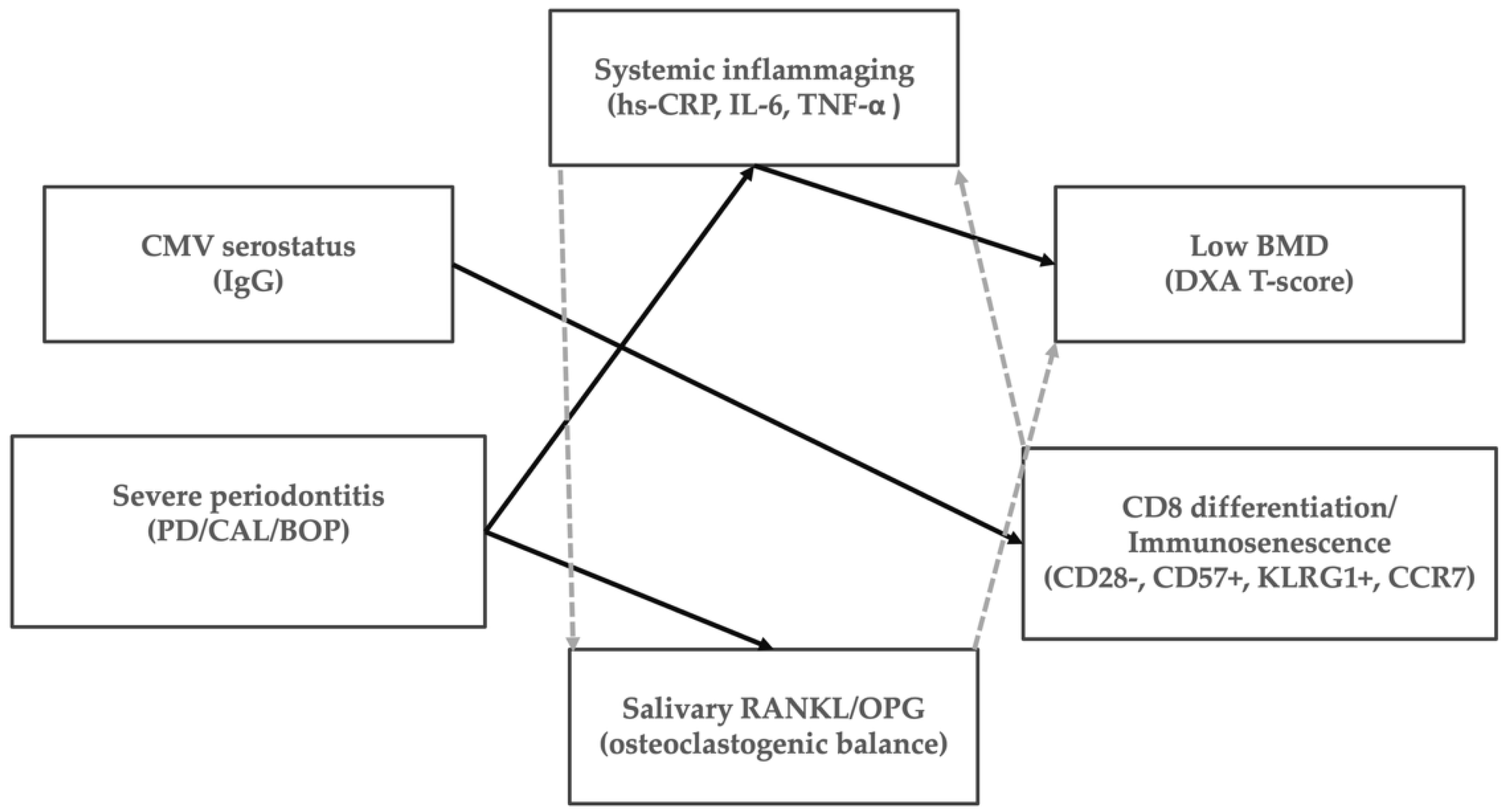 Diagnostics 16 00708 g002 Diagnostics 16 00708 g002