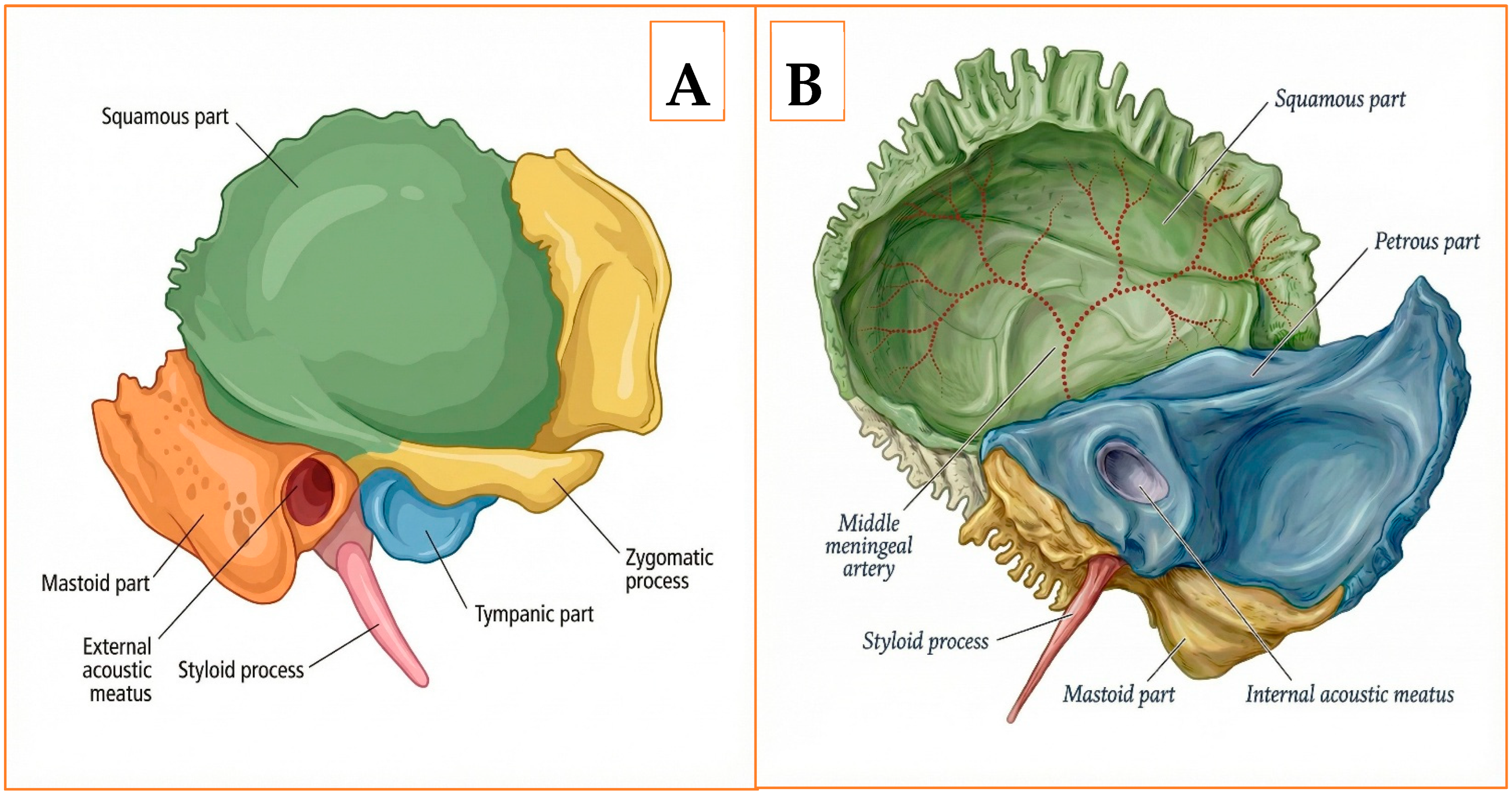 Diagnostics 16 00718 g001