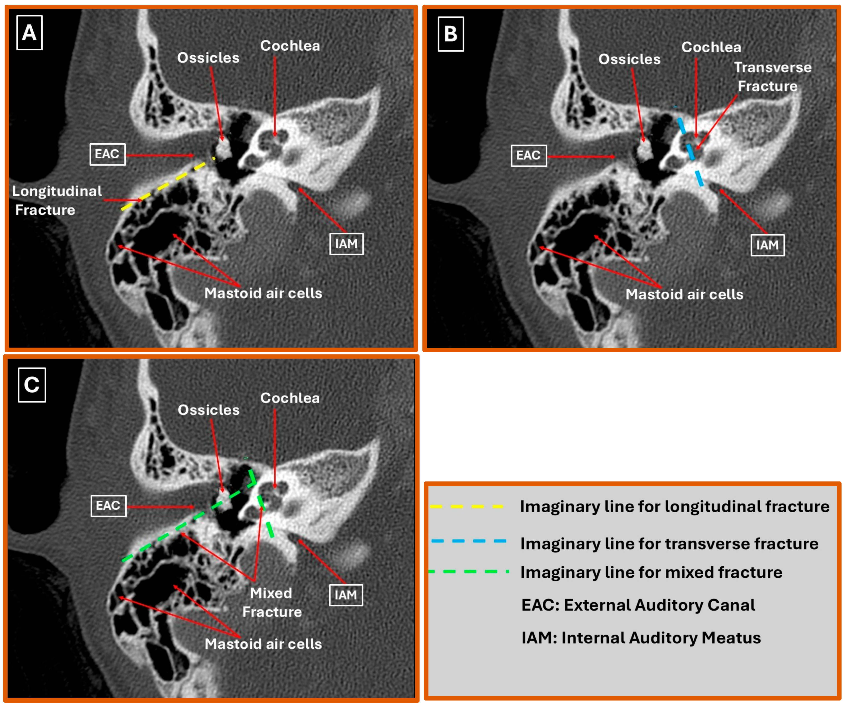 Diagnostics 16 00718 g002
