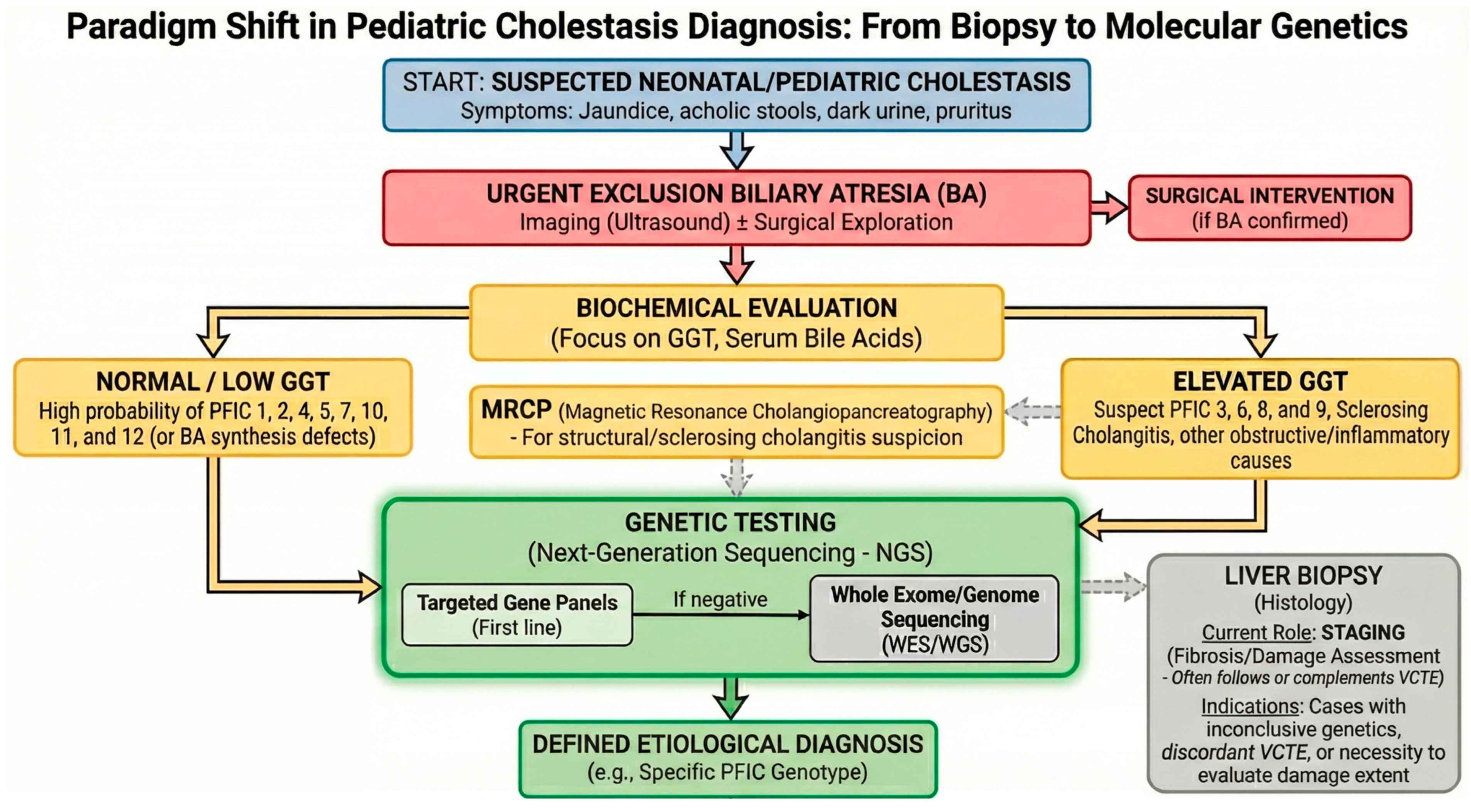 Diagnostics 16 00726 g003 Diagnostics 16 00726 g003